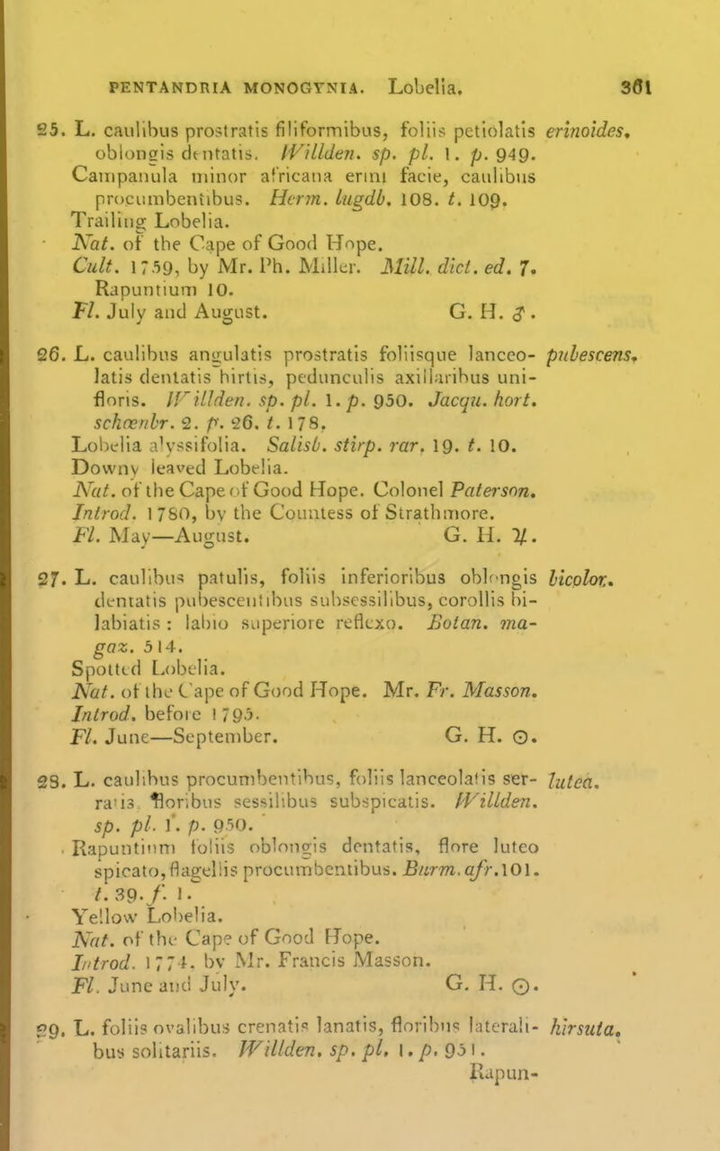 25. L. caullbus prostratis filiformibus, foliis petlolatis erinoides, obiongis dtiitatis. IVillden. sp. pL 1. p. 949. Campanula minor atricana ermi facie, caiilibus procumbentibus. Her?n. lugdb, 108. t. 109. Trailing Lobelia. Kat. oF the Cape of Good Hope. Cult. 17.59, by Mr. Ph. Miller. Mill. did. ed. 7. Rapuntium 10. Tl. July and August. G. H. ^ . 26. L. caulibus anijulatis prostratis foliisque lancco- pulescens^ Jatis denlatis hirtis, pedunculis axiiiarihus uni- floris. IFiUden. sp. pi. 1. p. 930. Jacqu. hort, schcerihr. 2. p. '■26.1 7S. Lo!)dia a'yssifolia. SalisL stirp. rar. 19. t. 10. Downy leaved Lobelia. iVa/. of the Cape of Good Hope. Colonel Patersnn* Jntrod. 17S0, by the Countess of Strathmore. Fl. May—August. G. H. 1/. 27. L. caulibus patulis, foliis Inferioribus oblfngis licplou dentatis pubescentibus subscssilibus, corollis bi- labiatis : lal)io Siiperiore reflcxo. Boian. ma- gaz. 314. Spotted Lobelia. Nat. of the Cape of Good Hope. Mr. Fr. Masson, Introd. befoie I 793- Fl. June—September. G. H. 0. 23. L. caullbus procumbentibus, foliis lanceola<is ser- Jutca, ra'is floribus sessilibus subspicatis. fi^illden. sp. pi. l. p. 930. . Rapuntinm toliis oblongis dentatis, flore luteo spicatOjflageliis procumbentibus. Burm.afrAOl, I. 39./. 1. Yellow Lobelia. Nat. of thf Cape of Good Hope. Introd. 1771. by Mr. Francis Masson. Fl. June and July. G, H. ©. f?9. L. foliis ovalibus crenatlf lanatis, floribns laterali- hirsuta, bus solitariis. IVillden, sp. pi, i. p. 95 \. Rapun-
