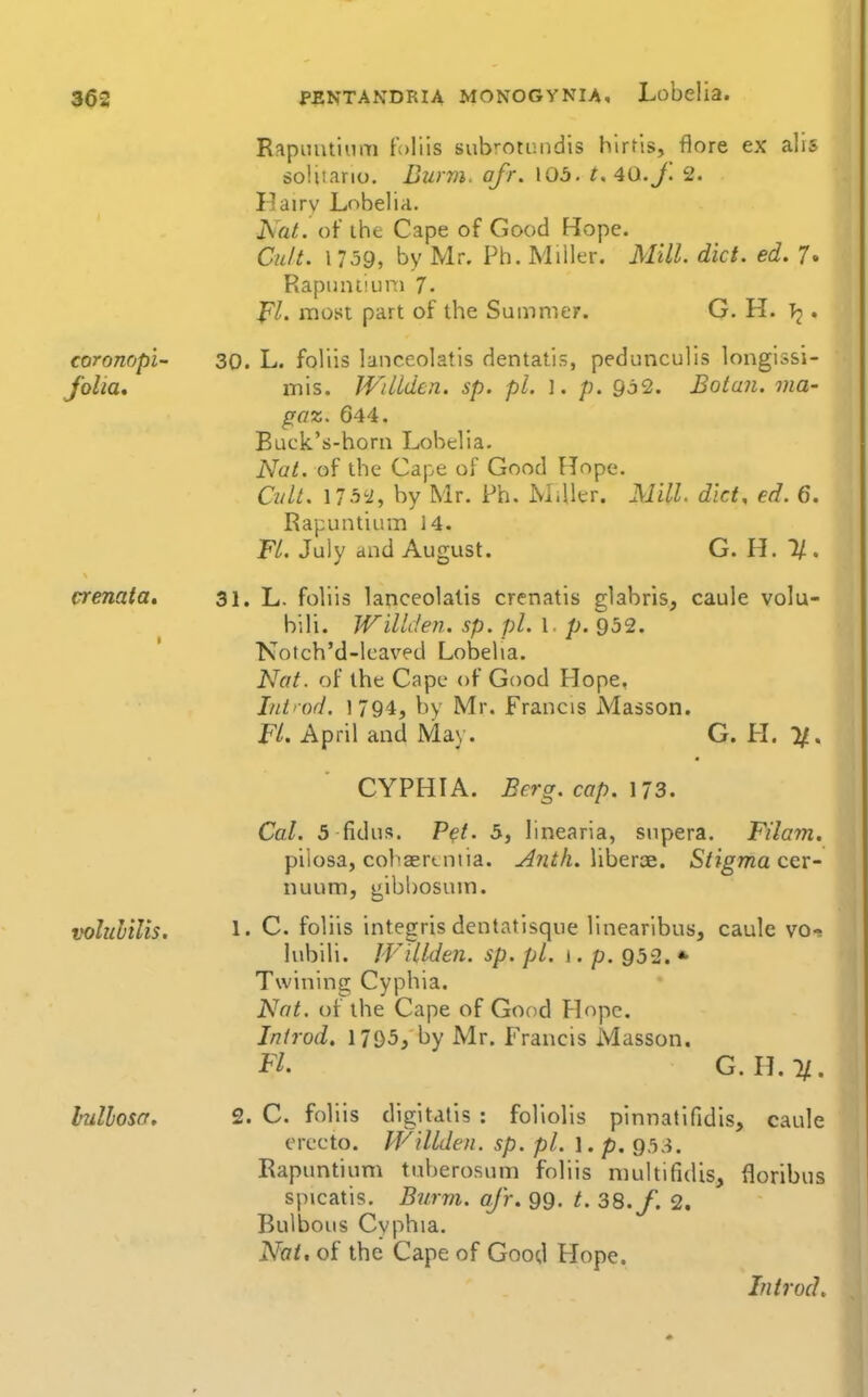 coronopi- Jolia, crenata. volulilis. bullosa. Rapnutinm f;)liis subrotundis hirtis, flore ex alis soUiario. Burm. afr. 103. t,40.J'. 2. Ilairv Lobelia. Nat. of the Cape of Good Hope. Cu/t. 1759, by Mr. Ph. Miller. Mill. diet. ed. 7. Rapumiiini 7. }^l. most part of the Summer. G. H. T2 • 30. L. foliis lanceolatis dentatis, pedunculis longissi- mis. IVilidcn. sp. pi. ]. p. So2. Botan. ma- goz. 644. Buck's-horn Lobelia. Nat. of the Cape of Good Hope. Cult. by Mr. Ph. M.ller. Mill diet, ed. 6. Rapuntium 14. Fl. July and August. G. H. 1/. 31. L. foliis lanceolatis crenatis glabris, caule volu- bili. Willden. sp. pi. I. p. 952. Notch'd-leaved Lobelia. Nat. of the Cape of Good Hope, Int'od. 1794, by Mr. Francis Masson. Fl. April and May. G. H. CYPHIA. Berg. cap. ]73. Cal. 5 fidus. P^f. 5, linearia, snpera. Filam. pilosa, cobaertniia. -^n^A. liberce. Stigma ccv- nuum, gibbosuui. 1. C. foliis integris dentatlsque Unearibus, caule vo-j lubili. Willden. sp. pi. 1. p. 932. * Twining Cyphia. Nat. of the Cape of Good Hope. Inirod. 17D5, by Mr. Francis Masson. Fl. G.H.I/. 2. C. fohis digitalis : follolis pinnatifidis, caule erecto. IVillden. sp. pi. 1. p. 953. Rapuntium tuberosum foliis multifidis, floribus spicatis. Burm. afr. 99. t. 38./. 2. Bulbous Cyphia. Nat, of the Cape of Good Hope. In trod.