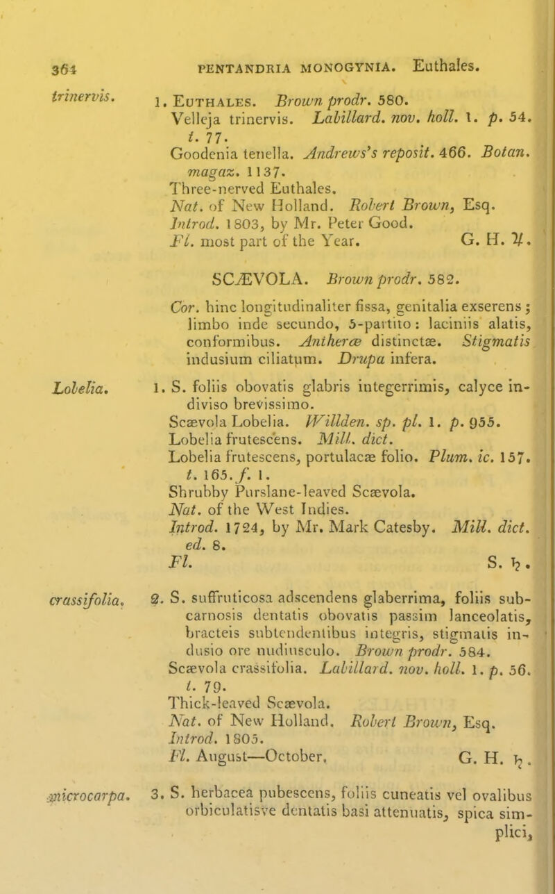 trinervis. PENTANDRIA MONOGYNIA. Euthalcs. , EuTHALES. Brown prodr. 580. Vellcja trinervis. Lalillard. nov. holl. \. p. 54, i. 77. Goodenia leiiella. Andrews's reposit. 466. Botan, magaz. 1137. Three-nerved Euthales. Nat. of New Holland. Robert Brown, Esq. Introd. 1803, by Mr. Peter Good. FL. most part of the Year. G. EI. 2/, SC^VOLA. Brown prodr. 582. Cor. bine longitudinaliter fissa, genitalia exserens ; limbo inde secundo, 5-partito: laciniis alatis, conformibus. Antherce distinctae. Stigmatis indusium ciliatum. Drupa infera. Lolelia. 1. S. foliis obovatis glabris integerrimis, calyce In- diviso brevissimo. Scaevola Lobelia. IVillden. sp. pi. 1. p. 955. Lobelia frutescens. MilL diet. Lobelia frutescens, portulacae folio. Plum. ic. 157. t. 165. f. 1. Shrubby Purslane-leaved Scaevola. Nat. of the West Indies. Introd. 1724, by Mr. Mark Catesby. Mili. diet, ed. 8. Fl. S. Tj. crassjfolia, Q- S. suffruticosa adscendens glaberrima, foliis sub- carnosis dentatis obovatis passim lanceolatis, bracteis snbtcndenlibus integris, stigmaiis in- dusio ore nudiusculo. Brown prodr. 584. Scaevola crassifulia. Lahdlard. nov. holl. l. p. 56. Thick-leaved Scaevola. Nat. of New Holland. Robert Brownj Esq. Introd. 1805. FL August—October. G. H. . ■mictocarpa. 3. S. herbacea pubesccns, foliis cuneatis vel ovalibus orbiculatisve dentatis basi attenuatis^ spica sim- plici.