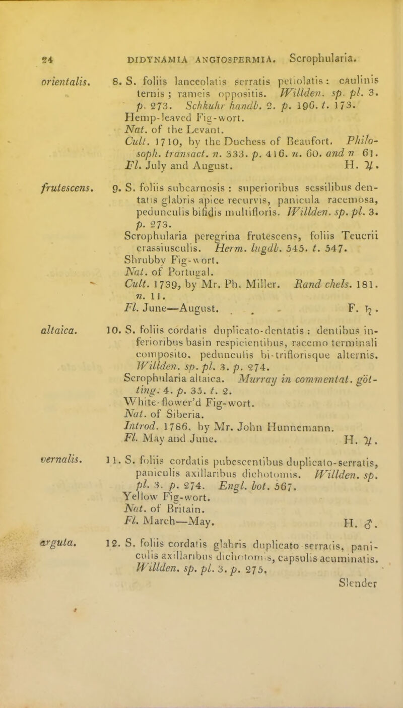 «4 orieiitalis. fruiescens. altaica. vernalis. arguta. DiDYNAMiA ANGTOSPERMiA. Scrophularia. 8. S. foliis lanceolatis serratis peholatis: caulinis lernis ; ranieis oppositis. IViUden. sp. pi. 3. p. 273. Schkuhr handh. 2. p, \Q6. t. 173. Hemp-leaved Fiii-wort. Nat. of the Levant. Cull. 1710, by the Duchess of Beaufort. Philo- soph, transact, n. 333. p. 416. n. GO. and v 61. P/. .fuly and August. H. 1/. 9. S. foliis subcarnosis : superioribus scssilibns den- tatis glabris apice reeurvis, panicula racemosa, pedunculis bifidis luultifloris, Willden. sp. pi. 3. p. 273. Scrophularia pcregrina frutescen?, foliis Teucrii crassiusculis. Herm. lugdb. 543. t. 347- Shrubby f'ig-\\ ort. NaL. of Portuiial. Cult. 1739, by^Mr. Ph. Miller. Rand chels. 181. n.W. Fl. June—August. . . F. Tj . 10. S. foliis cordatis duplicato-dcntatis : dentihus in- ferioribus basin respicicntibus, raccmo tcrminali coniposilo. pedunculis hi-trifiorisque alternis. Willdev. sp. pi. 3. p. 274. Scrophularia allaica. Murray in commentat. gbl- ting. 4. p. 35. /. -2. White-flower'd Fig-wort. Nat. of Siberia. Introd. 1786, by Mr. John Hunneniann. Fl. May and June. H. %. 11. S. foliis cordatis pubesccntibus duplicalo-serratis, paniculis axillanbus dichotonns. Willden. sp. pi. 3. p. 274. Engl. hot. 367. Yellow Fig-wort. Nat. of Britain. i^'^ March—xVJay. H. c?. 12. S. foliis cordatis glabris duplicato serracis, pani- culis axillanbus diciiffonr.s, capsulis acummatis. IVillden. sp. pi. 3. p. 273. Slender