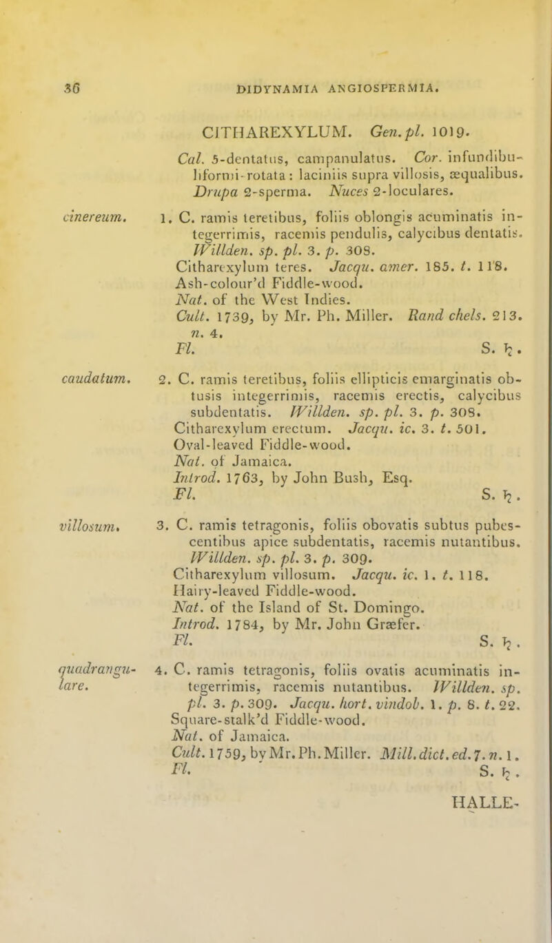 CJTHAREXYLUM. Gen.pl. 1019. CaL 5-dentatus, campanulatus. Cor. infundibu- lif'ornii-rotata : laciniis supra villosis, asqualibus. Drupa S-spernia. A'wcfO) 2-loculares. . C. raiTiis teretibus, foliis oblongls acuminatis in- tegerrimis, raceniis pendulis, calycibus dentatis'. WUlden. sp. pi. 3. p. 30S. Cithartxyliini teres. Jacqu. amer. 185. /. ll'S. Ash-colour'd Fiddle-wood. Nat. of the West Indies. Cult. 1739, by Mr. Ph. Miller. Rand chels. 213. n. 4. Fl. S. T:. . C. ramis teretibus, foliis ellipticis eniarginatis ob- tusis integerriniis, raceniis erectis, calycibus subdentatis. JVillden. sp. pi. 3. p. 308. Citharexylum erectum. Jacqu. ic. 3. t. 50\. Oval-leaved Fiddle-wood. Nai. of Jamaica. hilrod. 1763, by John Bush, Esq. Fl. S. T2. . C. ramis tetragonis, foliis obovatis subtus pubcs- centibus apice subdentatis, racemis nulautibus. WUlden. sp. pi. 3. p. 309. Citharexylum villosum. Jacqu. ic. 1. t. 118. Hairy-leaved Fiddle-wood. Nat. of the Island of St. Domingo. Introd. 1784, by Mr. John Graefer. FL S. . . C. ramis tetragonis, foliis ovatis acuminatis in- tegerrimis, racemis nutantibus. IVillden. sp. pi. 3. p. 309. Jacqu. kort. vindob. \ , p. 8. t. 22. Square-sialk'd Fiddle-wood. Nat. of Jamaica. Cult. 1159, bvMr. Ph. Miller. Mill.diet.ed.7.n.\. Fl. ' S.h. HALLE^