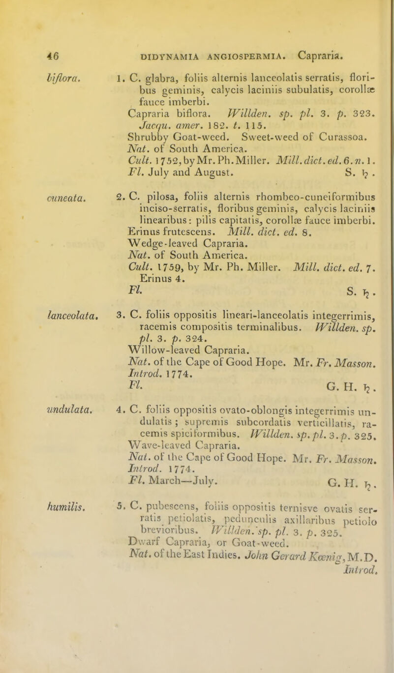 lijlora. 1. C. glabra, foliis alternis lanceolatis serratis, flori- bus geminis, calycis laciniis subulatis, corollse fauce imberbi. Capraria biflora. PFillden. sp. pi. 3. p. 323. Jacf/Ji. amer. 182. /. 115. Shrubby Goat-wced. Sweet-weed of Curassoa. Nat. of South America. Cult. 1752,byMr.Ph.Miller. Mill.diet.ed.6.77.1. Fl. July and August. S. . cuneata. 2. C. pilosa, foliis alternis rhombeo-cuneiformibus inciso-serratis, floribus geminis, calycis laciniis linearibus: pilis capitatis, corollte fauce imberbi. Erinus frutescens. Mill. did. ed. S. Wedge-leaved Capraria. Nat. of South America. Cull. 1759, by Mr. Ph. Miller. Mill. diet. ed. 7. Erinus 4. Fl' S. Tj. lanceolata. 3. C. foliis oppositis lineari-Ianceolatis integerrimis, racemis compositis terminalibus. IVillden. sp, pi. 3. p. 324. Willow-leaved Capraria. Nat. of the Cape of Good Hope. Mr. Fr. Masson. Introd. 1774. F/. G. H. T2. undulata. 4. C. foliis oppositis ovato-oblongis integerrimis un- dulatis ; suprcmis subcordaiis verticillatis, ra- cemis spiciformibus. IVillden. sp.pl. s.p, 325. Wave-leaved Capraria. Nat. of the Cape of Good Hope. Mr. Fr. Masson. Inirod. 1774. Fl. March—July. G. H. . humilis. 5. C. pubescens, foliis oppositis ternisvc ovatis ser- ratis petiolatis, pedunculis axilhiribus petiolo brevioribus. IViUdcn.'sp. pi. 3. p. 323. Dwarf Capraria, or Goat-weed. Nat. of the East Indies. John Gerard Kcenig, M.D. Inirod.