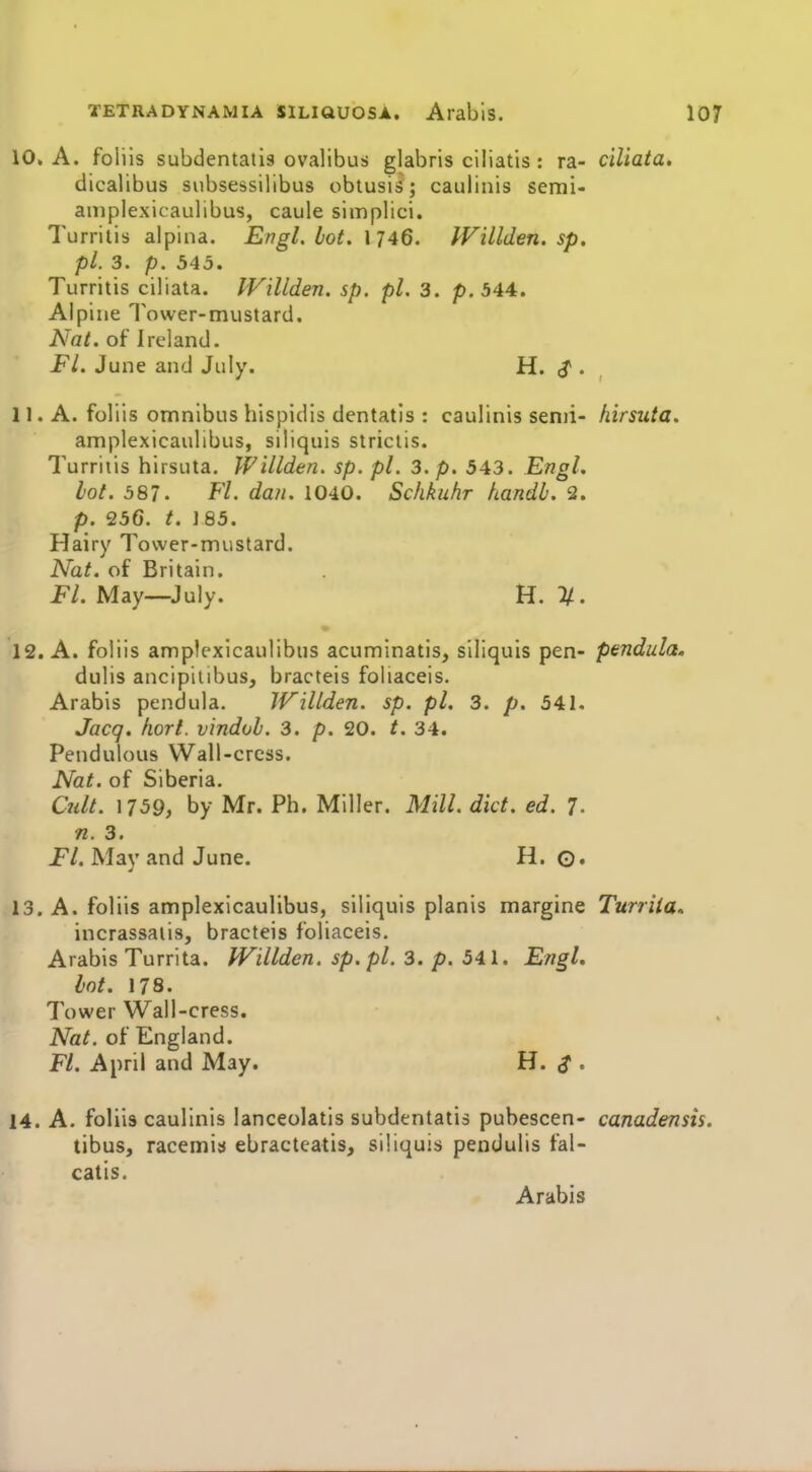 10. A. foliis subdentaiis ovalibus glabris ciliatis: ra- ciliata. dicalibus subsessilibus obtusis; caulinis semi- amplexicaulibus, caule simplici. Turrilis alpina. Engl, bot, 1 746. JVillden. sp. pi. 3. p. 345. Turritis ciliata. IVillden. sp. pi. 3. p. 544:. Alpine Tower-mustard. Nat. of Ireland. Fl. June and July. H. S - , 11. A. foliis omnibus hispidis dentatis : caulinis senji- hirsute. amplexicaulibus, siliquis striciis. Turrilis hirsuta. Willden. sp. pi. 3. p. 543. Engl. Lot. 587. Fl. dan. 1040. Schkuhr handb. 2. p. 256. t. 185. Hairy Tower-mustard. Nat. of Britain. Fl. May—July. H. %. 12. A. foliis amplexicaulibus acuminatis, siliquis pen- pendula, dulis ancipiiibus, bracteis foliaceis, Arabis pendula. Willden. sp. pi. 3. p. 541. Jacq. hort. vindob. 3. p. 20. t. 34. Pendulous Wall-cress. Nat. of Siberia. Odt. 1759, by Mr. Ph. Miller. Mill. did. ed. 7- n. 3. Fl. May and June. H. Q. 13. A. foliis amplexicaulibus, siliquis planis margine Turriia* incrassaiis, bracteis foliaceis. Arabis Turrita. Willden. sp.pl. 3. p. 541. Engl. bot. 178. Tower Wall-cress. Nat. of England. Fl. April and May. H. S • 14. A. foliis caulinis lanceolatis subdentatis pubescen- canadensis. tibus, racemia ebracteatis, siliqui:> pendulis fal- calis. Arabis