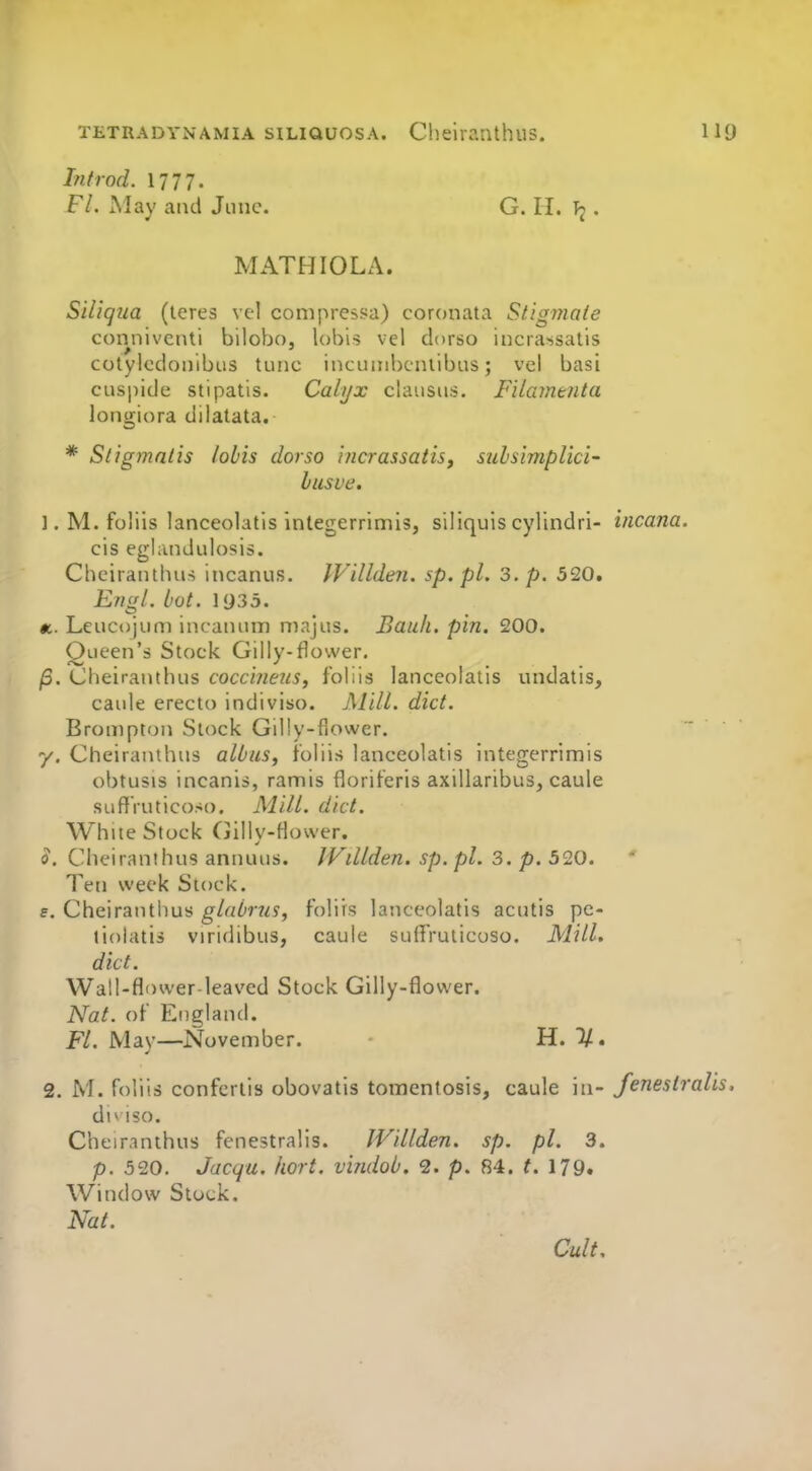 Introd. \1T!. Fl. May and June. G. II. . MATHIOLA. Siliqiia (teres vel conipressa) coronata Stigmate conniventi bilobo, lohis vel dorso incra^satis colylcdoiiibus tunc incimibcniibus; vel basi cuspide stipatis. Calyx clausiis. Fitamenta longiora dilatata. * Sligmntis /obis dorso ificrassatisj subslmplici- lusve. 1. M.foliis lanceolatis inlegerrimis, siliquiscylindri- incana. CIS eglandulosis. Chciranthus incanus. Willden. sp.pl. 3. p. 520. Engl. hot. 1935. Leucojum incanum niajus. Bauh. pin. 200. Queen's Stock Gilly-flower. /S. Cheiranthus cocciimis, f'oliis lanceolatis undatis, caule erecto indiviso. jMill. did. Brompton Stock Gilly-fiower. y. Cheiranthus alius, foliis lanceolatis integerrimis obtusis incanis, ramis floriferis axillaribus, caule suflVuticoso. Mill. diet. White Stock Gillv-Hower. (?. Cheiranthus annuus. IViUden. sp.pl. 3. p. 520. Ten week Stock. £. Cheiranthus gldbrus, foliis laticeolatis acutis pc- tiolatis viridibus, caule suffruticoso. MilL diet. Wall-flower-leaved Stock Gilly-flower. Nat. of England. FL. May—November. H. T/. 2. M. foliis conferlis obovatis tomentosis, caule in- fenestralis, dn ISO. Cheiranthus fenestralis. IVillden. sp. pi. 3. p. 520. Jac(ju. hart, vindob. 2. p. 84. t. 179. Window Stock. Nat.