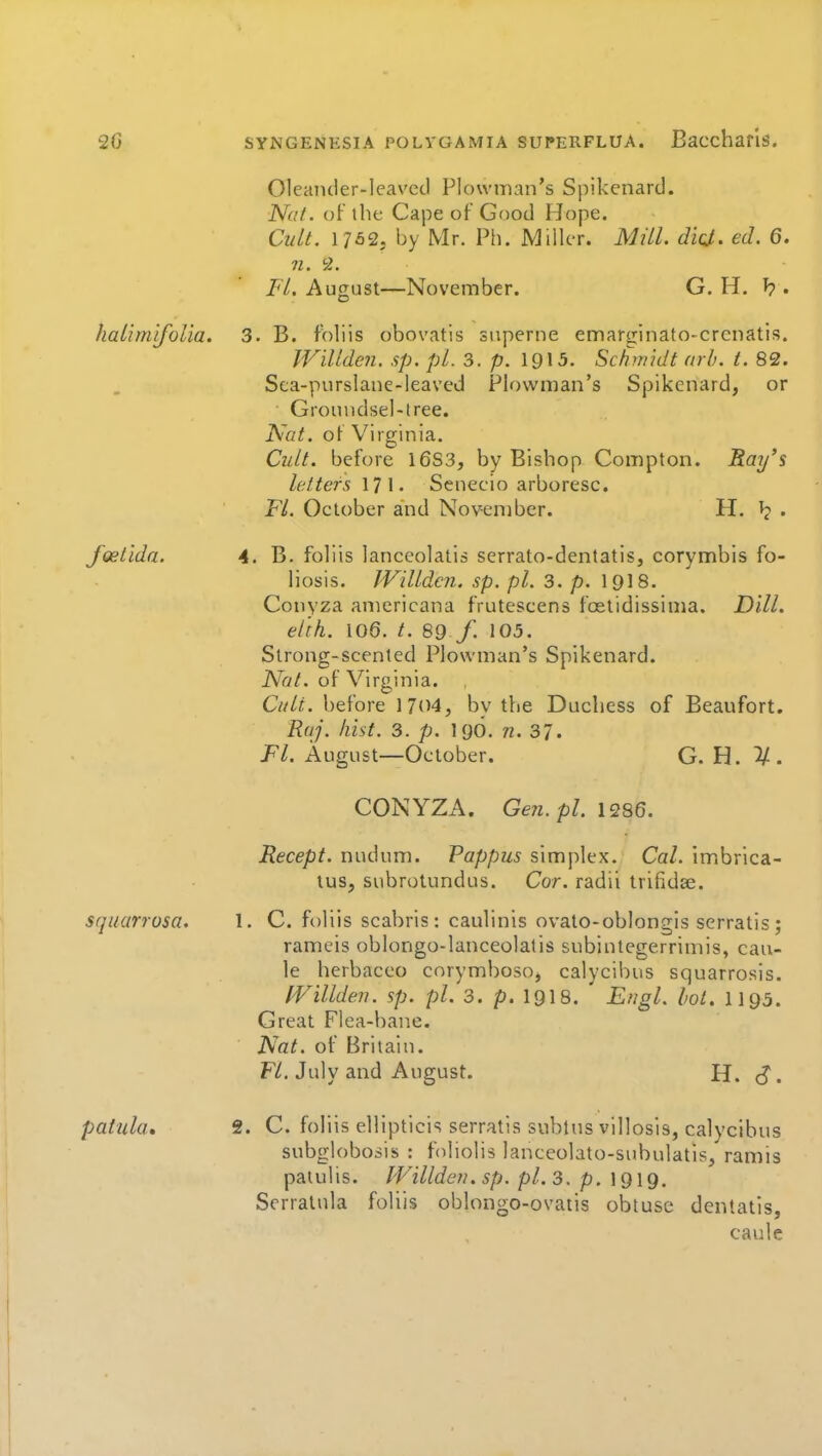 Oleaiuler-leavetl Plowman's Spikenard. JV<://. of the Cape of Good Hope. Cult. 1752. by Mr. Ph. Miller. Mill. di(J. ed. 6. n. 9.. Fl. August—November. G. H. ^?. hatimjfolia. 3. B. fV)liis obovatis snperne emarginato-crcnatis. IViUdeJi. sp. pi. 3. p. 1915. Schmidt arh. t. 82. Sca-purslane-!eaved Plowman's Spikenard, or Groundsel-tree. Nat. of Virginia. Cult, before 16S3, by Bishop Compton. Ray's letters 171. Senecio arboresc. Fl. Oelober and November. H. ^ . foetida. 4. B. foliis lanceolatis serrato-dentatis, corymbis fo- liosis. JVilldcii. sp. pi. 3. p. 19I8. Conyza americana frutescens fcetidissima. Dill, el'fh. 106. t. 89 f. 105. Strong-scented Plowman's Spikenard. Nat. of Virginia. Cult, before 1704, by the Duchess of Beaufort. Raj. hist. 3. p. I96. n. 37. Fl. August—October. G. H. ^. CONYZA. Gen.pl. 1286. Recept. nudum. Pappus simplex. Cat. imbrica- tus, subrotundus. Cor. radii trifidae. squarrosa. 1. C. foliis scabris: caulinis ovato-oblongls serratis; rameis oblongo-lanceolatis subintegerrimis, cau- le herbaceo corymboso, calycibus squarrosis. IVillden. sp. pi. 3. p. I9I8. ' Engl. hot. II93. Great Flea-bane. Nat. of Britain. F^. July and August. H. S. C. foliis ellipticis serratis sublus villosis, calycibus subglobosis : foliolis lanceolato-subulatis, ramis patulis. IVillden. sp. pi. 3. p. 1919. Serratula foliis oblongo-ovatis obtuse dentatis, caule patula.