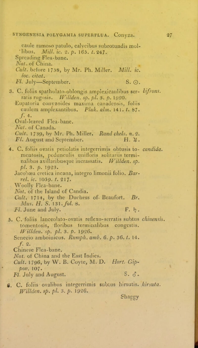 caule ramoso patulo, calycibus subrotundis mol- 'libus. Mill. ic. 2. p. 165. /. 247. Spreaclino; Flea-bane. Av//..of China. Oilt. before 1758, by Mr. Ph. Miller. Mill. ic. loc. CI tat. Fl. July—September. S. ©. 3. C. fbllis spathulato-obloiigis ampiexicaulibus scr- llfrons. ratis nigosis. IFillden. sp. pi. 3. p. ly20. Eupatoria convzoides maxima canadensis, foliis caulem amplexanlibus. Pluk. aim. 141. /. 87. / 4- Oval-leaved Flea-bane. Nat. of Canada. Cult. 1739, bv Mr. Ph. Miller. Rand chels. n.<2. P/. August and September. H. % . 4. C. foliis ovatis petiolatis intcgerrimis obtusis to- Candida. mentosis, ptdunculis uniHoris solitariis termi- nalibus axiliaribusquc incrassatis. IVdlden. sp. pi. 3. p. 1923. Jacobiea crciica incana, integro limonli folio. Bar- rel, ic. 1059. t. 217. Woolly Flea-bane. Nat. of the Island of Candia. Cidi. 1714, by the Ducliess of- Beaufort. Br. 5. C. foliis lanceolato-ovatls reflexo-serratis subtus chinensis. tomentosis, floribus terminalibus congcstis. H^illden. sp. pi. 3. p. 1926, Senecio amboinicus. Riimph. amb. 6, p. 3(5. t. 14. Mas. H. S. ]3\.fol. 8. Fl. June and July. F. T?. Chinese Flea-bane. Nat. of China and the East Indies. Cult. 179C, by W. B. Coyie, M. D. Hort. Gip- pov. 107. i^A July and August. S. cJ. 6. C. foliis ovalibus integerrimis sublus hirsutis. Iiinuta. M^illdcn. sp. pi. 3. p. \d'2G.
