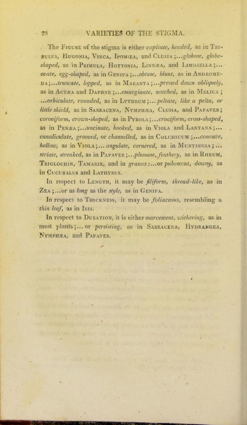 VARIETIES OF THE STIGMA. The Figure of the stigma is either capitate, headed, as in Tri- Bulus, Hugonia, Vinca, Ipomcea, and Clusia .globose, globe- shaped, as in Primula, Hottonia, Linntea, and Limosella ;... ovate, egg-shaped, as in Genipa obtuse, blunt, as in Androme- da \...truncate, lopped, as in Marantapressed down obliquely, as in Actjea and Daphne ;...emarginate, notched, as in Melica ; ...orbiculate, rounded, sls m Lythkvu peltate, like a pelta, or little shield, as in Sarracena, Nymphjea, Clusia, and Pa paver; coroniform, crown-shaped, as in Pyrolacruciform, cross-shaped, as in Pen^a uncinate, hooked, as in Viola and Lantana ;... canaliculate, grooved, or channelled, as in Colchicum ;...concave, holloxv, as in Viola;... ungulate, cornered, as in Muntingia;... striate, streaked, as in Papaver plumose, feathery, as in Rheum, Triglochin, Tamarix, and in grassesor pubescent, downy, as in Cucubalus and Lathyrus. In respect to Length, it may be filiform, thread-like, as in ZEA;...or as long as the style, as in Genipa. In respect to Thickness, it may be foliaceous, resembling a thin leaf, as in Iris. In respect to Duration, it is either marcescent, withering, as in most plants;... or persisting, as in Sarracena, Hydrangea, Nymphjea, and Papaver.