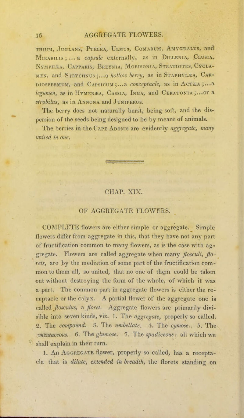 thium, Juglans, Ptelea, Ulmus, Comarum, Amygdalus, and Mirabilis ; ... a capsule externally, as in Dillenia, Clusia, Nymphjea, Capparis, Breynia, Morisonia, Stratiotes, Cycla- men, and Strychnus ;...a holloiv berry, as in Staphyl.ea, Car- diospermum, and Capsicum ;...a conceptacle, as in Act;ea ;...a legumen, as in Hymen^a, Cassia, Inga, and Ceratonia ;...or a strobilus, as in Annona and Juniperus. The berry does not naturally burst, being soft, and the dis- persion of the seeds being designed to be by means of animals. The berries in the Cape Adonis are evidently aggregate, many united in one. CHAP. XIX. OF AGGREGATE FLOWERS. COMPLETE flowers are either simple or aggregate. Simple flowers differ from aggregate in this, that they have not any part of fructification common to many flowers, as is the case with ag- gregate. Flowers are called aggregate when many flosculi, Jin- rets, are by the mediation of some part of the fructification com- mon to them all, so united, that no one of thqm could be taken out without destroying the form of the whole, of which it was a part. The common part in aggregate flowers is either the re- ceptacle or the calyx. A partial flower of the aggregate one is called jlosculus, a floret. Aggregate flowers are primarily divi- sible into seven kinds, viz. 1. The aggregate, properly so called. 2. The compound: 3. The umbellate. 4. The cymose.. 5. The ■mentaceous. 6. The glumose. 7. The spadiceous: all which we shall explain in their turn. 1. An Aggregate flower, properly so called, has a recepta- cle that is dilate, extended in breadth, the florets standing on