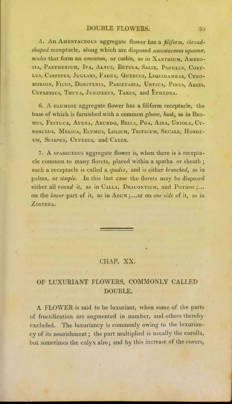 5. An Amentaceous aggregate flower has a filiform, thread* shaped receptacle, along which are disposed amentaceous squama-, scales that form an amentum, or catkin, as in Xanthium, Ambro- sia, Parthenium, Iva, Ajlnus, Betula, Salix, Populus, Cory- lus, Carpjnus, Juolans, Fagus, Quercus, Li ttu i dam bar, Cyno- MORION, FlCUS, DoRSTENIA, PaRIETARIA, UrTICA, PlNUS, AbIES, Cupressus, Thuya, Juniperus, Taxus, and Ephedra. 6. A glumose aggregate flower has a filiform receptacle, the base of which is furnished with a common glume, husk, as in Bro- mus, Festuca, Avena, Arundo, Bri/a, Poa, Aira, Uniola, Cy- nosurus, Melica, Elymus, Lolium, Triticum, Secale, Horde* dm, Scikpus, Cyperus, and Carex. 7. A spadiceous aggregate flower is, when there is a recepta- cle common to many florets, placed within a spatha or sheath ; such a receptacle is called a spadix, and is either branched, as in palms, or simple. In this last case the florets may be disposed either all ?ound it, as in Calla, Dracontium, and Pothos;... on the lower part of it, as in Arum ;...or on one aide of it, as in Zostera. CHAP. XX. OF LUXURIANT FLOWERS, COMMONLY CALLED DOUBLE. A FLOWER is said to be luxuriant, when some of the parts of fructification are augmented in number, and others thereby excluded. The luxuriancy is commonly owing to the luxurian- cy of its nourishment; the part multiplied is usually the corolla, but sometimes the calyx also; and by this increase of the covers,