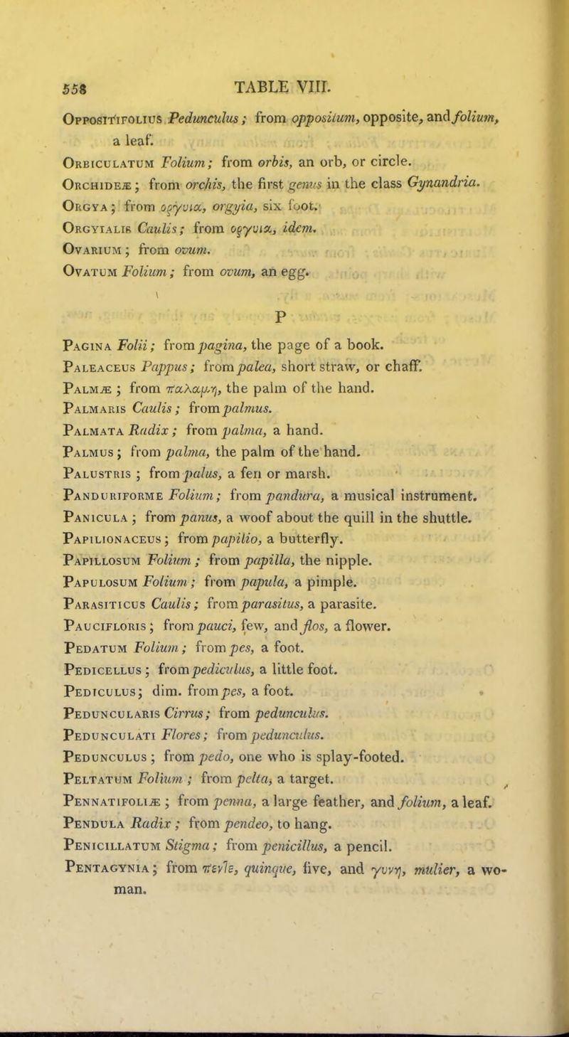 Oppositifolius Pedunculus; from op-podium, opposite, zxvS folium, a leaf. Orbiculatum Folium; from orbis, an orb, or circle. Orchide;e; from orchis, the first genvs in the class Gynandria. Orgya ; from opyvttx,, orgyia, six foot.' Orgyialir Caulis; from o^yvix, idem. Ovarium ; from ovum. Ovatum Folium ; from ovum, an egg. i P Pagina Folii; from pagina, the page of a book. Paleaceus Pappus; frompalea, short straw, or chaff. PalMjE ; from itctKoL^, the palm of the hand. Palmaris Caulis; frompalmus. Palmata Radix; from palma, a hand. Palmus ; from palma, the palm of the hand. Palustris ; from palus, a fen or marsh. Panduriforme Folium; from pandura, a musical instrument. Panicula ; from panus, a woof about the quill in the shuttle. Papilionaceus ; from papilio, a butterfly. Papillosum Folium ; from papilla, the nipple. Papulosum Folium; from papula, a pimple. Parasiticus Caulis; fromparasitus, a parasite. Paucifloris; from pauci, few, and flos, a flower. Pedatum Folium ; from pes, a foot. Pedicellus ; frompedici/lus, a little foot. Pediculusj dim. from pes, a foot. Peduncularis Cirrus; from pedunculus. Pedunculati Flores; from pedunadus. Pedunculus ; from pedo, one who is splay-footed. Peltatum Folium ; from pelta> a target. Pennatifolije ; from penna, a large feather, and folium, a leaf. Pendula Radix ; from pcndeo, to hang. Penicillatum Stigma; from penicillus, a pencil. Pentagynia ; from irevls, quinquc, live, and yvvv}, mtdier, a wo man.