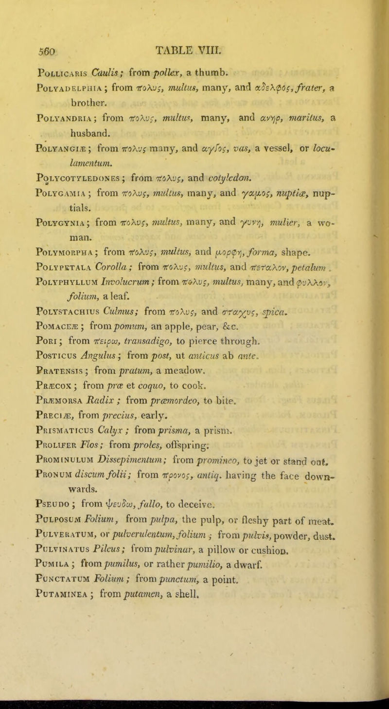 Pollicaris Caul is; horn poller, a thumb. Polyadelpuia ; from iroXv;, multus, many, and a,$sXp<j$,frater, a brother. Polyandria ; from tfQ\vf, multus, many, and avrjp, maritus, a husband. Polyanci/e; from itoXyg many, and ccyfo$, vas, a vessel, or locu- lamentum. Polycoty led ones ; from moXvg, and cotyledon. Polygamia; from TtoXv$, multus, many, and yx^iog, nupti<zy nup- tials. Polygynia ; from itoXvs, multus, many, and yjvy, mulier, a wo- man. Polymorpha; from itbXv;, multus, and popf^, forma, shape. Polypetala Corolla; from iroXvc, multus, and irsraXov, petalum . Polyphyllum hrcolucrum; from voXv;, multus, many, andfvXX^v, folium, a leaf. Polystachius Culmus; from ttoXv;, and trrayvc, spica. Pomacete ; from pomum, an apple, pear, &c. Pori ; from Ttsiptu, transadigo, to pierce through. Posticus Angulus; from post, ut amicus ab ante. Pratensis ; from pratum, a meadow. Precox ; from pra et coquo, to cook. Prjemorsa Radix ; from pravnordeo, to bite. Precise, from precius, early. Prismaticus Calyx ; from prisma, a prism. Prolifer. Flos; from proles, offspring. Prominulum Dissepimentum; from promineo, to jet or stand oat. Pronum discum folii; from Koovo;, antiq. having the face down- wards. Pseudo ; from ipevSui, folio, to deceive. Pulposum Folium, from pulpa, the pulp, or fleshy part of meat. Pulveratum, or pulverulentum, folium ; from pulvis, powder, dust. Pijlvinatus Pileus; irompuhinar, a pillow or cushion. Pumila ; ffom pumilus, or rather pumilio, a dwarf. Punctatum Folium; frompuncturrC, a point. Putaminea ; from putamen, a shell.