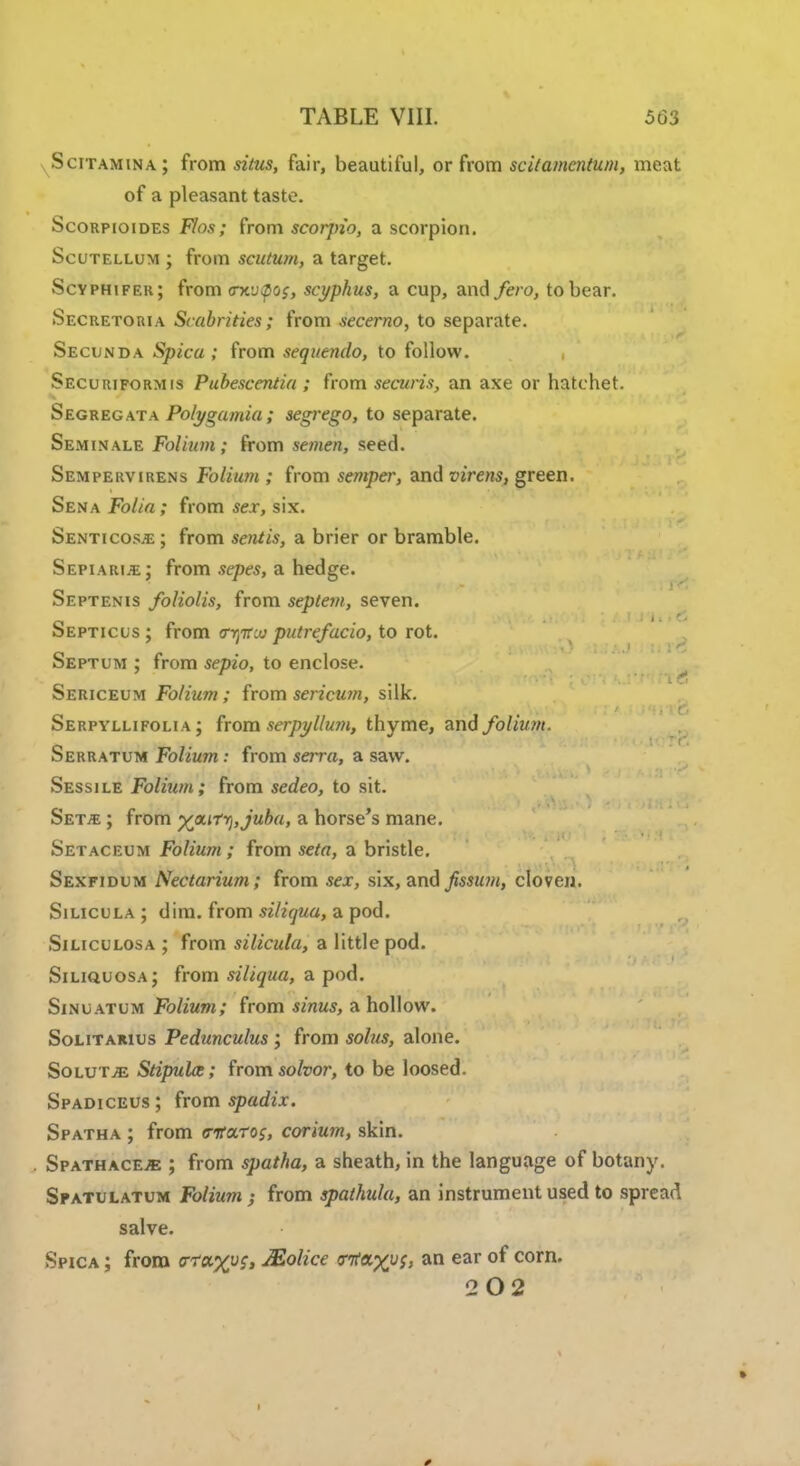 Scitamina; from situs, fair, beautiful, or from sc it amentum, meat of a pleasant taste. Scorpioides Flos; from scorjrio, a scorpion. Scutellum ; from scutum, a target. Scyphjfek; from vmv<po$, scypkus, a cup, and/era, to bear. Secretoria Scabrities; from secerno, to separate. Secunda Spica ; from sequendo, to follow. Securiform is Pubescentia ; from securis, an axe or hatchet. Segregata Polygamia ; segrego, to separate. Seminale Folium; from semen, seed. Sempekvirens Folium ; from semper, and virens, green. Sena Folia ; from sex, six. Senticosje ; from sent is, a brier or bramble. Sepiarije; from sepes, a hedge. Septenis foliolis, from septem, seven. Septicus ; from vyptw putrefacio, to rot. Septum ; from sepio, to enclose. Sericeum Folium; from sericum, silk. Serpyllifoli a ; from serpyllum, thyme, and folium. Serratum Folium: from serra, a saw. Sessile Folium; from sedeo, to sit. Setje ; from yjti-tr^juba, a horse's mane. Setaceum Folium ; from seta, a bristle. Sexfidum Nectarium; from sex, six, and fissum, cloven. Silicula ; dim. from siliqua, a pod. Siliculosa ; from silicula, a little pod. Siliquosa; from siliqua, a pod. Sinuatum Folium; from sinus, a hollow. Solitarius Pedunculus ; from solus, alone. Solutje Stipules; from solvor, to be loosed. Spadiceus; from spadix. Spatha ; from cttaros, corium, skin. SpathacEjE ; from spatha, a sheath, in the language of botany. Spatulatum Folium-, from spathula, an instrument used to spread salve. Spica ; from <rra,%vs, Molice <nt9.y})c, an ear of corn. 2 02