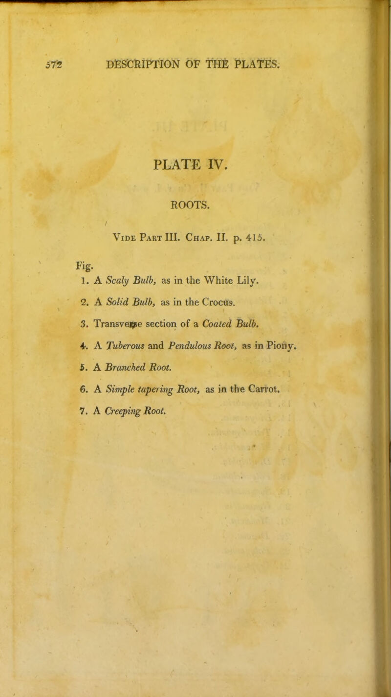 PLATE IV. ROOTS. Vide Part III. Chap. II. p. Fig. 1. A Scaly Bulb, as in the White Lily. 2. A Solid Bulb, as in the Crocus. 3. Transverse section of a Coated Bulb. 4. A Tuberous and Pendulous Root, as in Piony. f. A Branched Root. 6. A Simple tapering Root, as in the Carrot. 7. A Creeping Root.