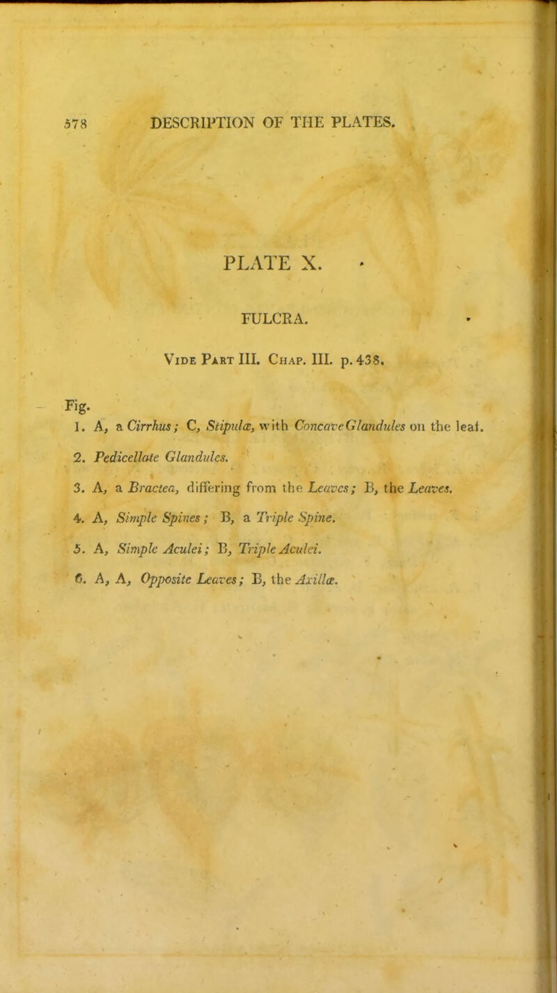 PLATE X. FULCRA. Vide Part III. Chap. III. p. 438, Fig. 1. A, nCirrhus; C, Stipida, with Concave Glandules on the leaf. 2. Pedicellate Glandules. 3. A, a Bractea, differing from the Leaves; 13, the Leaves. A. A, Simple Spines; B, a Triple Spine. 5. A, Simple Aculei; B, Triple Acuki. f). A, A, Opposite Leaves; B, the Axilla. v