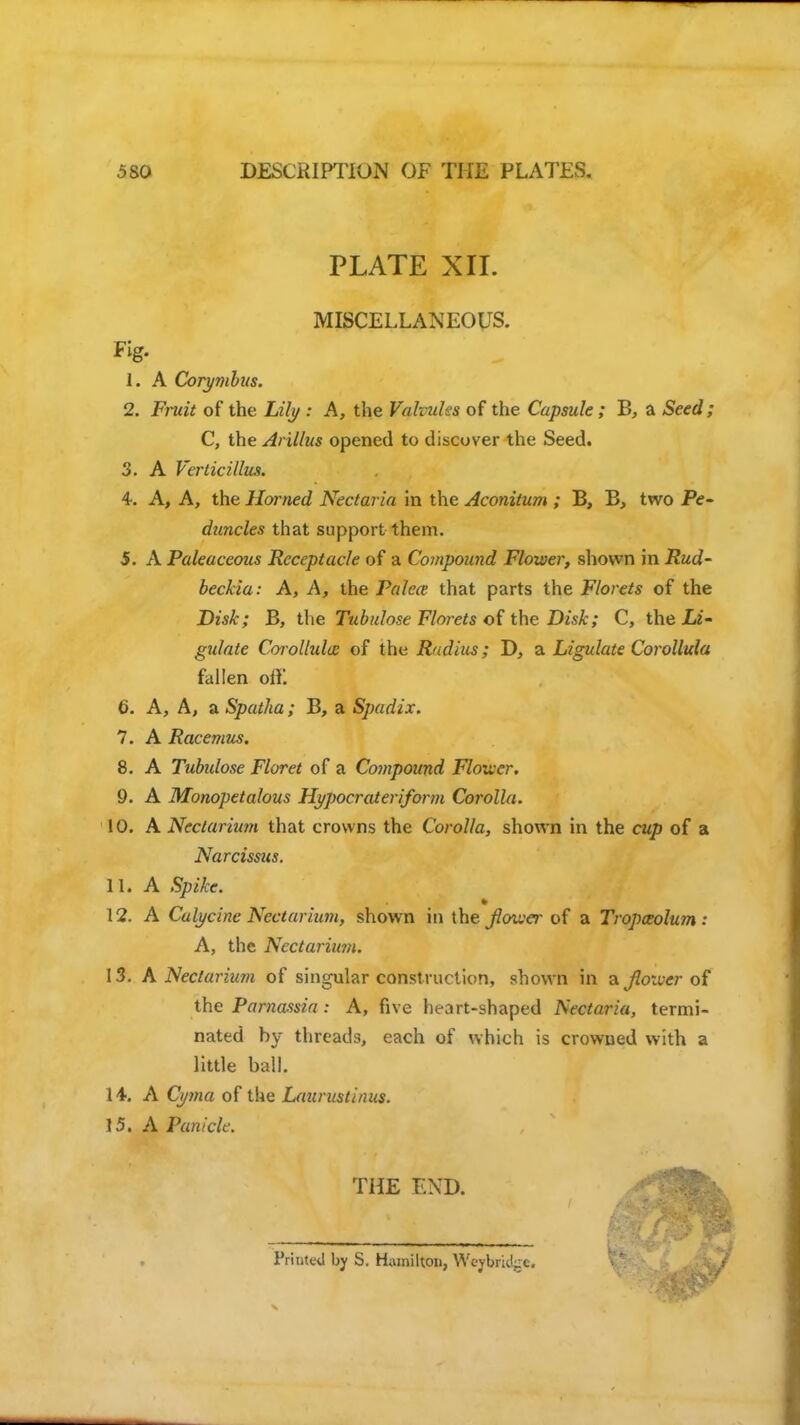 PLATE XII. MISCELLANEOUS. Fig. 1. A Corymbus. 2. Fruit of the Lily : A, the Valvules of the Capsule ; B, a Seed; C, the Arillus opened to discover the Seed. 3. A VerLicillus. 4. A, A, the Horned Nectaria in the Aconitum ; B, B, two Pe- duncles that support them. 5. A Paleaceous Receptacle of a Compound Flower, shown in Rud- beckia: A, A, the Palea that parts the Florets of the Disk; B, the Tubulose Florets of the Disk; C, the Li- gulate Corollulw of the Radius; D, a Ligulate Corollula fallen off. 6. A, A, a Spatha; B, a Spadix. 7. A Racennis. 8. A Tubidose Floret of a Compound Flower. 9. A Monopetalous Hypocrateriform Corolla. 10. A Nectarium that crowns the Corolla, shown in the cwp of a Narcissus. 11. A 12. A Calycine Nectarium, shown in the flower of a Tropceolum: A, the Nectarium. 13. A Nectarium of singular construction, shown in a flower of the Parnassia : A, five heart-shaped Nectaria, termi- nated by threads, each of which is crowned with a little ball. 14. A Cyma of the Laurustinus. 15. A Panicle. THE END. Printe<J by S. Hamilton, Weybridge.