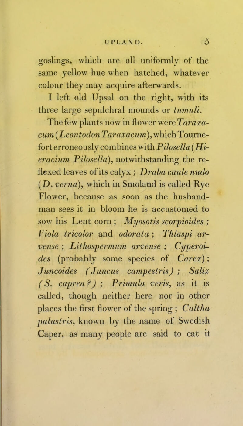 goslings, which are all uniformly of the same yellow hue when hatched, whatever colour they may acquire afterwards. I left old Upsal on the right, with its three large sepulchral mounds or tumuli. The few plants now in flower were Taraxa- cum (Leoiitodon Ta 7'a.vacum),\\'hichT omne- fort erroneously combines with Pilosella (Hi- eracium Pilosella), notwithstanding the re- fl«xed leaves of its calyx ; Draha caule nudo (D. verna), which in Smoland is called Rye Flower, because as soon as the husband- man sees it in bloom he is accustomed to sow his Lent corn ; Myosotis scorpioides ; Viola tricolor and odor at a ; Thlaspi ar- vense ; Lithospermam arvense ; Cyperoi- des (probably some species of Carex); Juncoides (J uncus campestris J ; Salix (S. caprea ?) ; Primula veris, as it is called, though neither here nor in other places the first flower of the spring ; Caltha palustris, known by the name of Swedish Caper, as many people are said to eat it