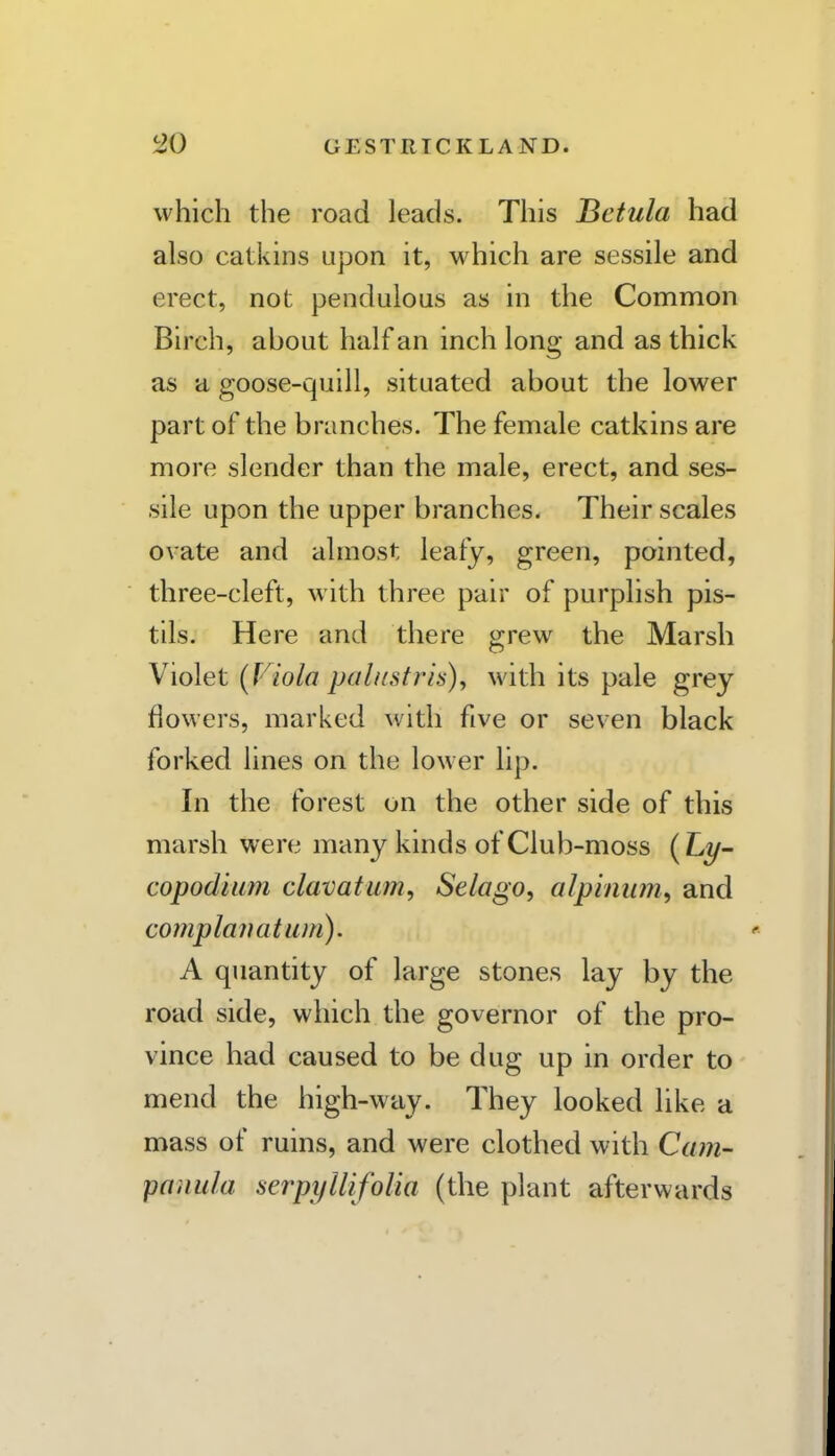 which the road leads. This Betula had also catkins upon it, which are sessile and erect, not pendulous as in the Common Birch, about half an inch long and as thick as a goose-quill, situated about the lower part of the branches. The female catkins are more slender than the male, erect, and ses- sile upon the upper branches- Their scales ovate and almost leafy, green, pointed, three-cleft, with three pair of purplish pis- tils. Here and there grew the Marsh Violet (J'iola paliistris), with its pale grey flowers, marked with five or seven black forked lines on the lower lip. In the forest on the other side of this marsh were many kinds of Club-moss (Ly- copodium clavatum, Selago, alpiiium^ and complanatum). A quantity of large stones lay by the road side, which the governor of the pro- vince had caused to be dug up in order to mend the high-way. They looked like a mass of ruins, and were clothed with Cam- panula serpyllifolia (the plant afterwards