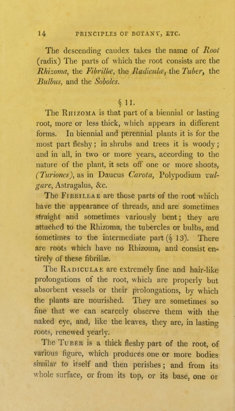 The descendins caudex takes the name of Root (radix) The parts of which the root consists are the Rhizoma, the Fibrillar, the Radicuice, the TubePy the Bulbus, and the Soboles. §11. The IIhizoma is that part of a biennial or lasting root, more or less thick, which appears in different forms. In biennial and perennial plants it is for the most part fleshy; in shrubs and trees it is woody; and in all, in two or more years, according to the nature of the plant, it sets off one or more shoots, (Turiones), as in Daucus Carota^ Poly podium vul- gcire, Astragalus, &c. The FiBiiiLLAE are those parts of the root which have the appearance of threads, and are sometimes i^traight and sometimes variously bent; they are attached to the Rhizoma, the tubercles or bulbs, and ^ometinies to the intermediate part (§ 13). There are roots which have no Rhizoma, and consist en- tirely of these fibrillae. The Radicular are extremely fine and hair-like prolongations of the root, which are properly but absorbent vessels or their prolongations, by which the plants are nourished. They are sometimes so fine that we can scarcely observe them with the naked eye, and, like the leaves, they are, in lasting roots, renewed yearly. The Tuber is a thick fleshy part of the root, of various figure, which produces one or more bodies similar to itself and then perishes; and from its whole surface; or from its top, or its base, one or
