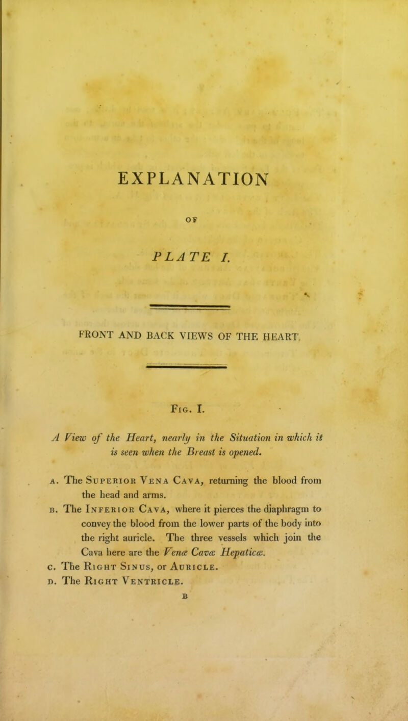 EXPLANATION PLATE I. FRONT AND BACK VIEWS OF THE HEART. Fig. I. A riew of the Heart, nearly in the Situation in which it is seen when the Breast is opened. A. The Superior Vena Cava, returning the blood from the head and arms. B. The Inferior Cava, where it pierces the diaphragm to convey the blood from the lower parts of the body into the right auricle. The three vessels which join the Cava here are the Fena Cava Hepaticcs. c. The Right Sinus, or Auricle. D. The Right Ventricle.