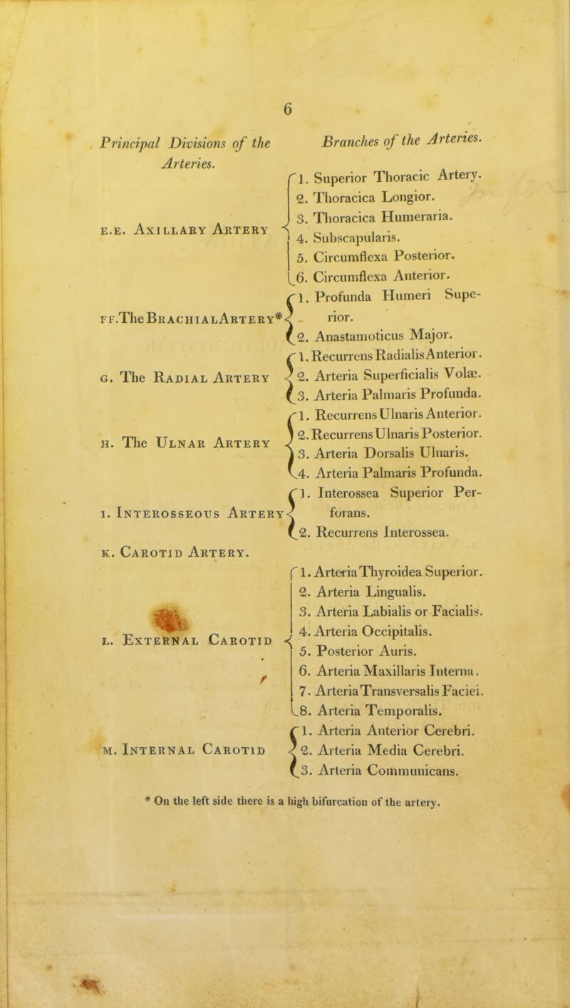 E.E. Axillary Aktery ^ Principal Divisions of the Branches of the Arteries. Arteries. 1. Superior Thoracic Artery. 2. Thoracica Longior. S. Tlioracica Humeraria. 4. Subscapularis. I 5. Circumflexa Posterior. 1^6. Circumflexa Anterior, ri. Profunda Humeri Supe- FF.TheBRACHiALARTERY*< - rior. (^2. Anastanioticus Major. r \. Recurrens RadialisAnterior. G. The Radial Artery -?2. Arteria Superficialis Vola3. ^3. Arteria Pahnaris Profunda. !1. Recurrens Ulnaris Anterior. 2. Recurrens Ulnaris Posterior. 3. Artena IJorsahs U Inaris. 4. Arteria Palmaris Profunda, ri. Interossea Superior Per- 1. Interosseous Artery< forans. 2. Recurrens Interossea. 1. Arteria Thy roidea Superior. 2. Arteria Lingualis. 3. Arteria Labialis or Facialis. 4. Arteria Occipitalis. 5. Posterior Auris. 6. Arteria Maxillaris Interna. 7. ArteriaTransversalis Faciei. ^8. Arteria Temporalis. 1. Arteria Anterior Cerebri. 2. Arteria Media Cerebri. 3. Arteria Communicans. K. Carotid Artery. L. External Carotid ^ f M. Internal Carotid * On the left side there is a high bifurcation of the artery. i.