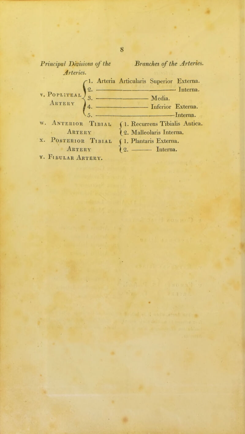 Principal Divisions of the Branches of the Arteries. Arteries. 1. Arteria Artlcularis Superior Externa. 2. — Interna. V. Popliteal J3 , ^^^^^ AUTEUY J . T r • T? t 4. Inferior Externa. -Interna. w. Anterior Tibial ( I. Recurrens Tibialis Antica. Artery (2. Malieolaris Interna. X. Posterior Tibial i 1. Plantaris Externa. Artery (2. Interna. V. Fibular Artery.