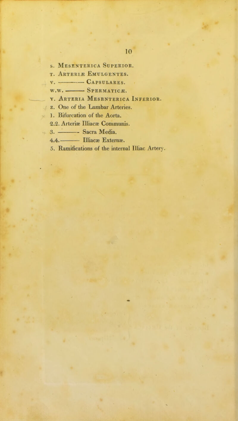 s. Mesenterica Superior. T. ARTERIiE EmULGENTES. V. Capsulares. W.W. SPERMATICiE. Y. Arteria Mesenterica Inferior. z. One of the Lumbar Arteries. 1. Bifurcation of the Aorta. 2.2. Arteriae Illiacae Communis. 3. Sacra Media. 4.4. Illiacae Externas. 5. Ramifications of the internal I Iliac Artery.