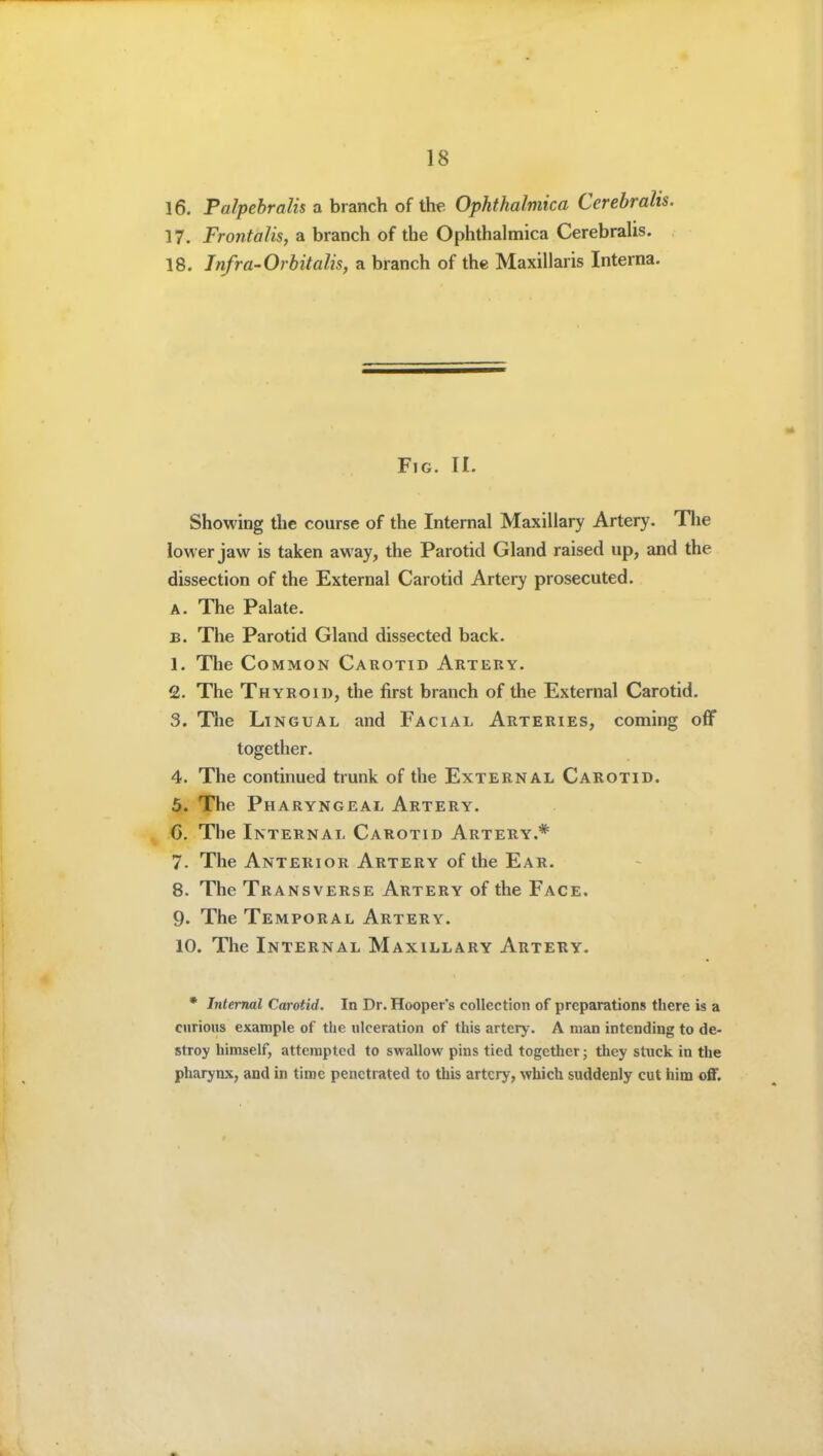 16. Palpehralis a branch of the Ophthalmica Cerebralis. 17. Frontalis, a branch of the Ophthalmica Cerebralis. 18. Tnfra-Orhitalis, a branch of the Maxillaris Interna. Fig. II. Showing the course of the Internal Maxillary Artery. Tlie lower jaw is taken away, the Parotid Gland raised up, and the dissection of the External Carotid Artery prosecuted. A. The Palate. B. The Parotid Gland dissected back. 1. The Common Carotid Artery. 2. The Thyroid, the first branch of the External Carotid. 3. The Lingual and Facial Arteries, coming off together. 4. The continued trunk of the External Carotid. 5. The Pharyngeal Artery. 6. The Internal Carotid Artery.* 7. The Anterior Artery of the Ear. 8. The Transverse Artery of the Face. 9. The Temporal Artery. 10. The Internal Maxillary Artery. • Internal Carotid. In Dr. Hooper's collection of preparations there is a curious example of the ulceration of this arterj-. A man intending to de- stroy himself, attempted to swallow pins tied together; they stuck in the pharynx, and in time penetrated to this artery, which suddenly cut him off.