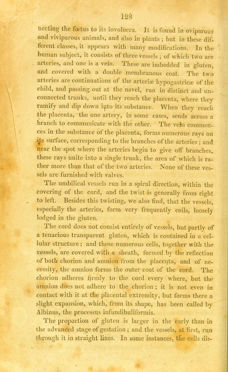 hecting the foetus to its involucra. It is found in oviparous and viviparous animals, and also in plants ; but in these dif- ferent classes, it appears with many modifications. In the human subject, it consists of three vessels; of which two are arteries, and one is a vein. These are imbedded in gluten, and covered with a double membranous coat. The two arteries are continuations of the arterise hypogastrics of the child, and passing out at the navel, run in distinct and un- connected trunks, until they reach the placenta, where they ramify and dip down into its substance. When they reach the placenta, the one artery, in some cases, sends across a branch to communicate with the other. The vein commen- ces in the substance of the placenta, forms numerous rays on i4ts surface, corresponding to the branches of the arteries ; and near the spot where the arteries begin to give off branches, these rays unite into a single trunk, the area of which is ra- ther more than that of the two arteries. None of these ves- sels are furnished with valves. The umbilical vessels run in a spiral direction, within the covering of the cord, and the twist is generally from right to left. Besides this twisting, we also find, that the vessels, especially the arteries, form very frequently coils, loosely lodged in the gluten. The cord does not consist entirely of vessels, but partly of a tenacious transparent gluten, which is contained in a cel- lular structure; and these numerous cells, together with the vessels, are covered with a sheath, formed by the reflection of both chorion and amnion from the placenta, and of ne- cessity, the amnion forms the outer coat of the cord. The chorion adheres firmly to the cord every where, but the amnion does not adhere to the chorion ; it is not even in contact with it at the placental extremity, but forms there a slight expansion, which, from its shape, has been called by Albinus, the processus infundibuliformis. The proportion of gluten is larger in the early than in the advanced stage of gestation; and the vessels, at first, run through it in straight lines. In some instances, the cells dis-