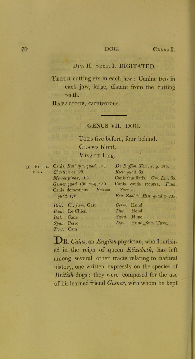 Div. II. Sect. I. DIGITATED. Teeth cutting six in each jaw: Canine two in each jaw, large, distant from the cutting teeth. Rapacious, carnivorous. GENUS VII. DOG. Toes five before, four behind. Claws blunt. Visage long. . Faith- Canis, Raii syn. quad. 175. ful, Chariton ex. 26. Merret pinax, 168. Gesner quad. l60, 24Q, 250. Canis domesticus. Brisson quad. 170. Brit. C\,fcem. Gast Fren. Le Chien Ital. Cane Span. Perro Port. Cam De Buff on, Tom. v. p. 185. Klein quad. 63. Canis familiaris. Gm. Lin. 65. Canis cauda recurva. Faun. Suec 5. Brit. Zool.13.Rist. quad. p.235. Germ. Hund Dut. Hotid Sioed. Hund Dan. Hund,y^m. Taeve. . Caius, an English physician, who flourish- ed in the reign of queen Elizabeth, has left among several other tracts relating to natural history, one written expressly on the species of British dogs: they were composed for the use of his learned friend Gesner, with whom he kept