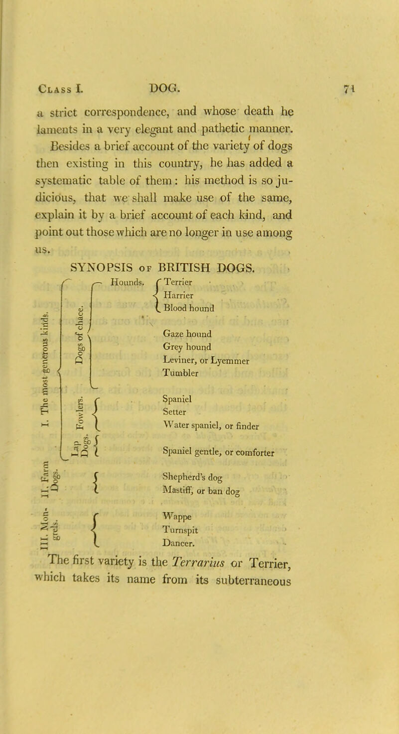 u strict correspondence, and whose death he laments in a very elegant and pathetic manner. Besides a brief account of the variety of dogs then existing in this country, he has added a systematic table of them: his method is so ju- dicious, that we shall make use of the same, explain it by a brief account of each kind, and point out those which are no longer in use among us. SYNOPSIS of BRITISH DOGS. • Hounds. C Terrier < Harrier V. Blood hound T3 'J2 o — u <— . © \ CO cD O Q c S o JS o { CL&J ml C o . —I n So { Gaze hound Grey hound Leviner, or Lyemmer Tumbler Spaniel Setter Water spaniel, or finder Spaniel gentle, or comforter Shepherd's dog Mastiff, or ban dog Wappe Turnspit Dancer. The first variety is the Terrarins or Terrier, which takes its name from its subterraneous