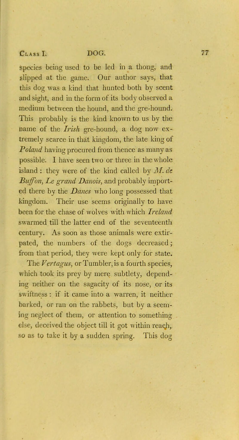 species being used to be led in a thong, and slipped at the game. Our author says, that this dog was a kind that hunted both by scent and sight, and in the form of its body observed a medium between the hound, and the gre-hound. This probably is the kind known to us by the name of the Irish gre-hound, a dog now ex- tremely scarce in that kingdom, the late king of Poland having procured from thence as many as possible. I have seen two or three in the whole island : they were of the kind called by M. de Buffon, Le grand Danois, and probably import- ed there by the Danes who long possessed that kingdom. Their use seems originally to have been for the chase of wolves with which Ireland swarmed till the latter end of the seventeenth century. As soon as those animals were extir- pated, the numbers of the dogs decreased; from that period, they were kept only for state. The Vertagus, or Tumbler, is a fourth species, which took its prey by mere subtlety, depend- ing neither on the sagacity of its nose, or its swiftness : if it came into a warren, it neither barked, or ran on the rabbets, but by a seem- ing neglect of them, or attention to something else, deceived the object till it got within reaqji, so as to take it by a sudden spring. This dog