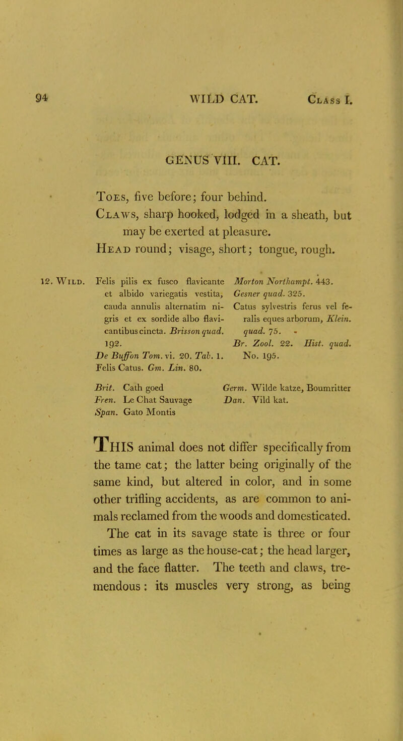 GENUS VIII. CAT. Toes, five before; four behind. Claws, sharp hooked, lodged in a sheath, but may be exerted at pleasure. Head round; visage, short; tongue, rough. 12. Wild. Felis pilis ex fusco flavicante Morton Northampt. 443. ct albido variegatis vcstita, Gesner quad. 325. cauda annulis alternatim ni- Catus sylvestris ferus vel fe- gris et ex sordide albo flavi- ralis eques arborum, Klein. cantibuscincta. Brissonquad. quad. 75. Br. Zool. 22. Hist. quad. Be Buffon Tom. vi. 20. Tab. 1. No. Felis Catus. Gm. Lin. 80. Brit. Cath goed Germ. Wilde katze, Boumritter Fren. Le Chat Sauvage Dan. Vild kat. Span. Gato Montis This animal does not differ specifically from the tame cat; the latter being originally of the same kind, but altered in color, and in some other trifling accidents, as are common to ani- mals reclamed from the woods and domesticated. The cat in its savage state is three or four times as large as the house-cat; the head larger, and the face flatter. The teeth and claws, tre- mendous : its muscles very strong, as being