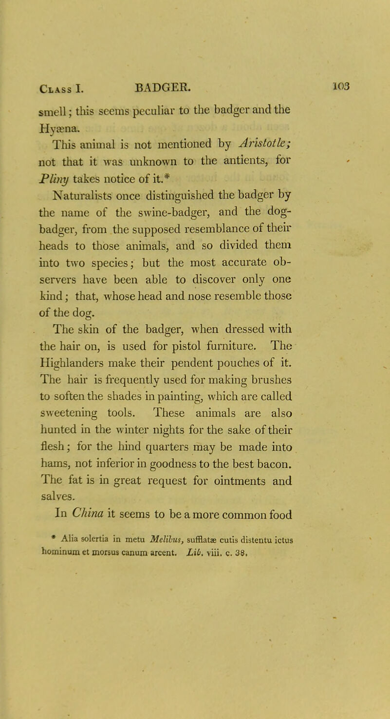 Class I. BADGER. smell; this seems peculiar to the badger and the Hyaena. This animal is not mentioned by Aristotle; not that it was unknown to the antients, for Pliny takes notice of it.# Naturalists once distinguished the badger by the name of the swine-badger, and the dog- badger, from the supposed resemblance of their heads to those animals, and so divided them into two species; but the most accurate ob- servers have been able to discover only one kind; that, whose head and nose resemble those of the dog. The skin of the badger, when dressed with the hair on, is used for pistol furniture. The Highlanders make their pendent pouches of it. The hair is frequently used for making brushes to soften the shades in painting, which are called sweetening tools. These animals are also hunted in the winter nights for the sake of their flesh; for the hind quarters may be made into hams, not inferior in goodness to the best bacon. The fat is in great request for ointments and salves. In China it seems to be a more common food * Alia solertia in metu Melilus, sufflatae cutis distentu ictus hominum et morsus canum arcent. Lit), viii. c. 38.