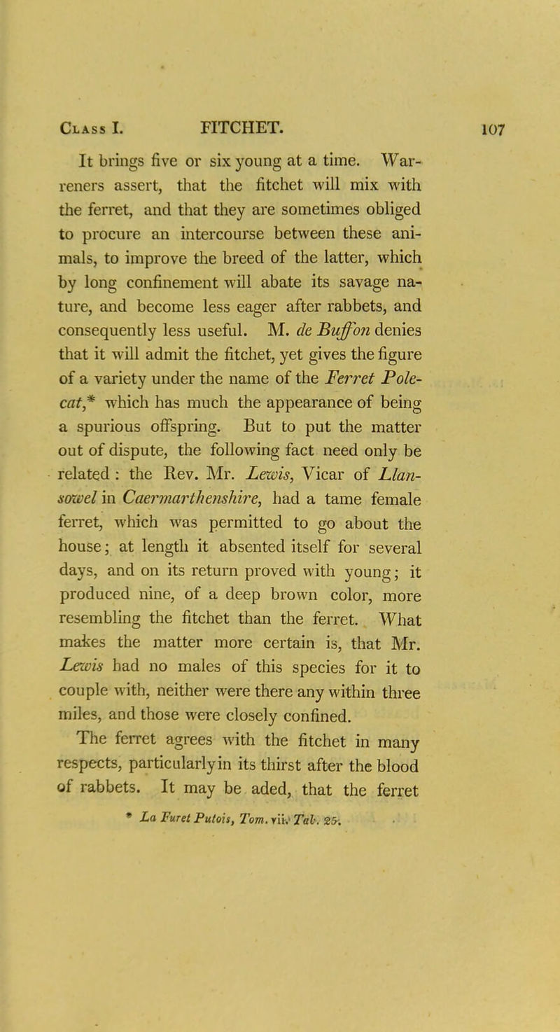 It brings five or six young at a time. War- reners assert, that the fitchet will mix with the ferret, and that they are sometimes obliged to procure an intercourse between these ani- mals, to improve the breed of the latter, which by long confinement will abate its savage na- ture, and become less eager after rabbets, and consequently less useful. M. de Buffo?i denies that it will admit the fitchet, yet gives the figure of a variety under the name of the Ferret Pole- cat* which has much the appearance of being a spurious offspring. But to put the matter out of dispute, the following fact need only be related : the Rev. Mr. Lewis, Vicar of Llan- sozvel in Caermarthenshire, had a tame female ferret, which was permitted to go about the house; at length it absented itself for several days, and on its return proved with young; it produced nine, of a deep brown color, more resembling the fitchet than the ferret. What makes the matter more certain is, that Mr. Lewis had no males of this species for it to couple with, neither were there any within three miles, and those were closely confined. The ferret agrees with the fitchet in many respects, particularly in its thirst after the blood of rabbets. It may be aded, that the ferret * La Furet Putois, Tom. yii.> Tab. 25;