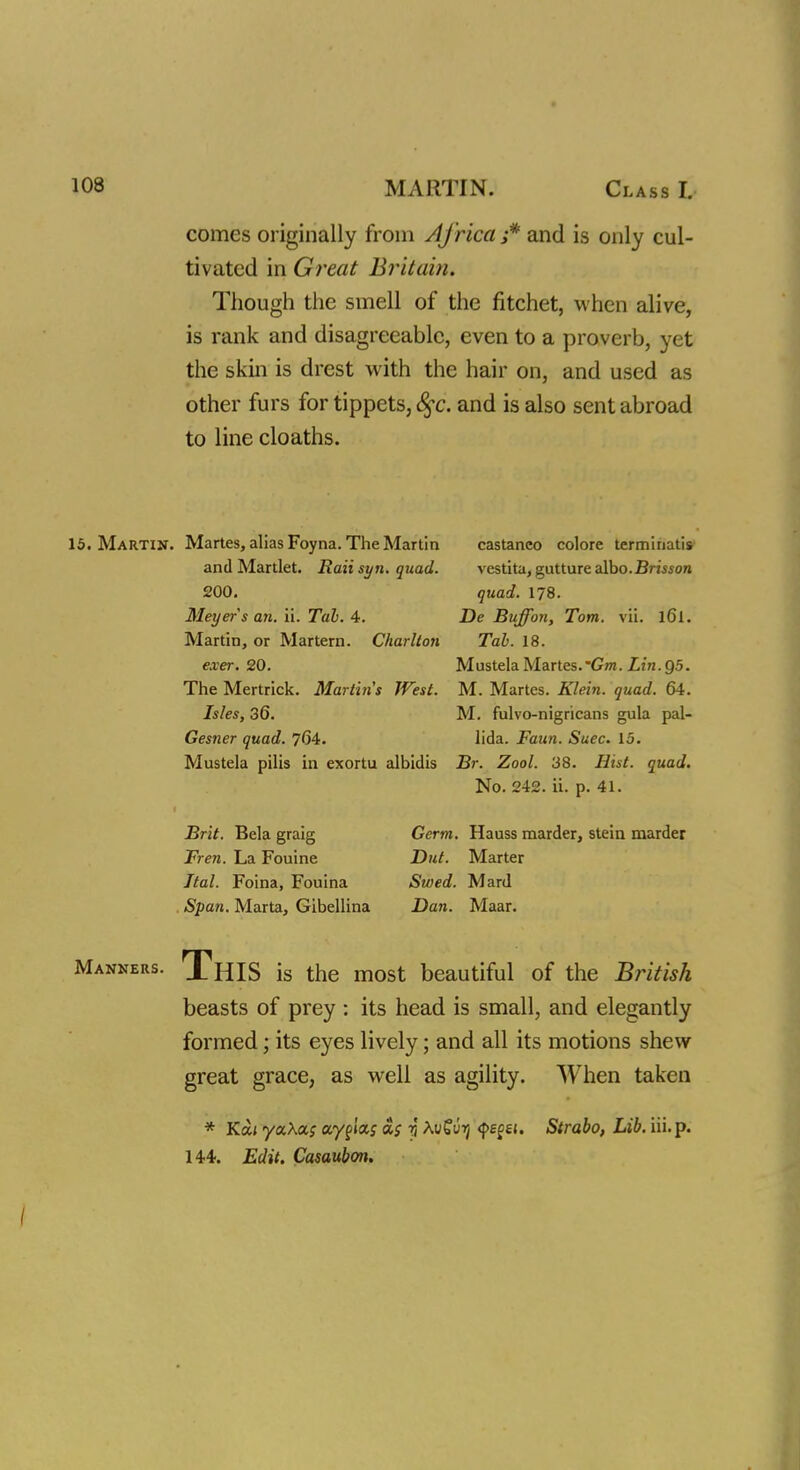 MARTIN. Class I comes originally from Africa s* and is only cul- tivated in Great Britain, Though the smell of the fitchet, when alive, is rank and disagreeable, even to a proverb, yet the skin is drest with the hair on, and used as other furs for tippets, fyc. and is also sent abroad to line cloaths. Martin. Martes, alias Foyna. The Martin and Martlet. Raii syn. quad. 200. Meyer s an. ii. Tab. 4. Martin, or Martern. Charlton exer. 20. The Mertrick. Martins West. Isles, 36. Gesner quad. 764. Mustela pilis in exortu albidis castanco colore terminatis vestita, gutture albo. Brisson quad. 178. De Buffon, Tom. vii. l6l. Tab. 18. Mustela Martes.'Gm. Lin. Q5. M. Martes. Klein, quad. 64. M. fulvo-nigricans gula pal- lida. Faun. Suec. 15. Br. Zool. 38. Hist. quad. No. 242. ii. p. 41. Brit. Bela graig Fren. La Fouine Ttal. Foina, Fouina Span. Marta, Gibellina Germ. Hauss marder, stein marder But. Marter Swed. Mard Dan. Maar. Manners. ThIS is the most beautiful of the British beasts of prey : its head is small, and elegantly formed; its eyes lively; and all its motions shew great grace, as well as agility. When taken * Ka< yaXa? ayf Us as i au£vy <{>£££!. Strabo, Lib. iii. p. 144. Edit. Casaubon.