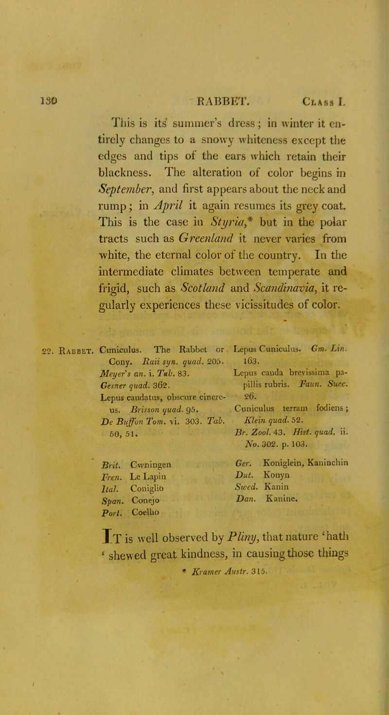 This is its' summer's dress; in winter it en- tirely changes to a snowy whiteness except the edges and tips of the ears which retain their blackness. The alteration of color begins in September, and first appears about the neck and rump; in April it again resumes its greycoat. This is the case in Styria* but in the polar tracts such as Greenland it never varies from ■white, the eternal color of the country. In the intermediate climates between temperate and frigid, such as Scotland and Scandinavia, it re- gularly experiences these vicissitudes of color. Rabbet. Cuniculus. The Rabbet or Cony. Rati syn. quad. 205. Meyers an. i. Tab. 83. Gesner quad. 362. Lepus caudatus, obscure cfriere- us. Brisson quad. Q5. Be Buffon Tom. vi. 303. Tab. 60, 51. Brit. ltd. Span. Port. Cwningen Le Lapiu Coniglio Conejo Coelho Lepus Cuniculus. Gm. Lin. 163. Lepus cauda brevissima pa- pillis rubris. Faun. Succ. 26. Cuniculus terrain fodiens; Klein quad. 52. Br. Zool. 43. Hist. quad. ii. No. 302. p. 103. Ger. Koniglein, Kaninchin Dut. Konyn Swed. Kanin Dan. Kanine. It is well observed by Pliny, that nature 'hath ' shewed great kindness, in causing those things * Kramer Austr. 315.