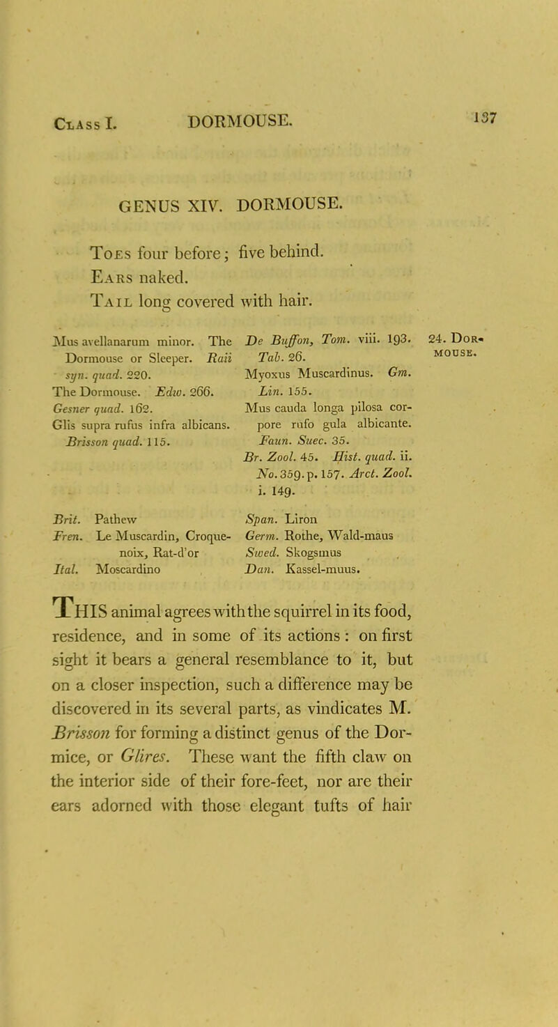 GENUS XIV. DORMOUSE. Toes four before; five behind. Ears naked. Tail long covered with hair. }Ius avellanarum minor. The De Buff on, Tom. viii. 193 Dormouse or Sleeper. Raii Tab. 26. syn. quad. 220. The Dormouse. Ediv. 266. Gesner quad. 162. Glis supra rufus infra albicans. Brisson quad. 115. Myoxus Muscardinus. Gm. Lin. 155. Mus cauda longa pilosa cor- pore rufo gula albicante. Faun. Suec. 35. Br. Zool. 45. Hist. quad. ii. No. 35Q. p. 157- Arct. Zool. i. 149- Brit. Pathew Span. Liron Fren. Le Muscardin, Croque- Germ. Rothe, Wald-maus noix, Rat-d'or Sived. Skogsmus Ital. Moscardino Dan. Kassel-muus. This animal agrees with the squirrel in its food, residence, and in some of its actions: on first sight it bears a general resemblance to it, but on a closer inspection, such a difference may be discovered in its several parts, as vindicates M. Brisson for forming a distinct genus of the Dor- mice, or Glires. These want the fifth claw on the interior side of their fore-feet, nor are their ears adorned with those elegant tufts of hair 24. Dor« MOUSE.