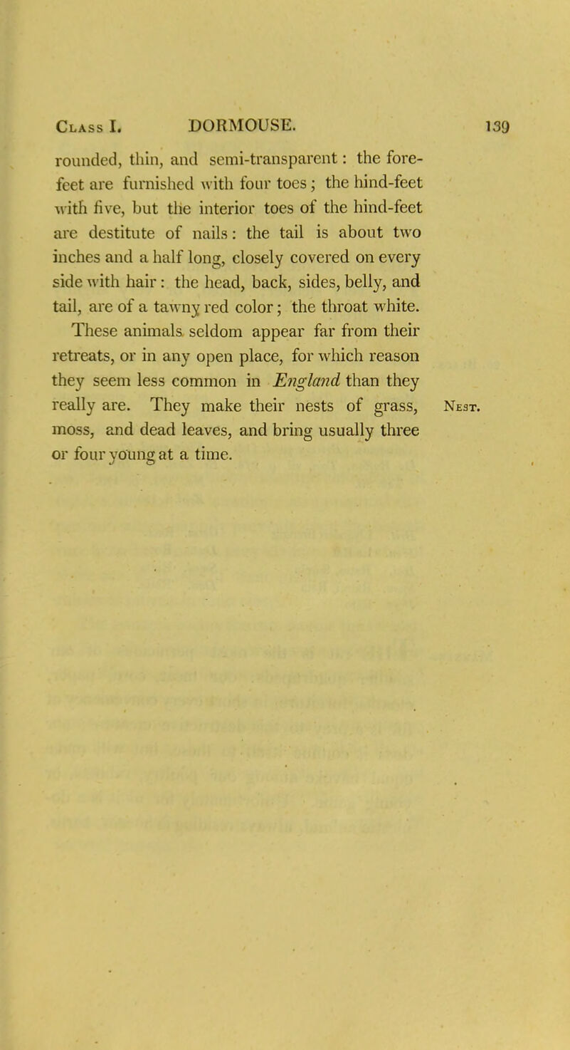 rounded, thin, and semi-transparent: the fore- feet are furnished with four toes; the hind-feet with five, but the interior toes of the hind-feet are destitute of nails: the tail is about two inches and a half long, closely covered on every side with hair: the head, back, sides, belly, and tail, are of a tawny red color; the throat white. These animals seldom appear far from their retreats, or in any open place, for which reason they seem less common in England than they really are. They make their nests of grass, Nest. moss, and dead leaves, and bring usually three or four young at a time.