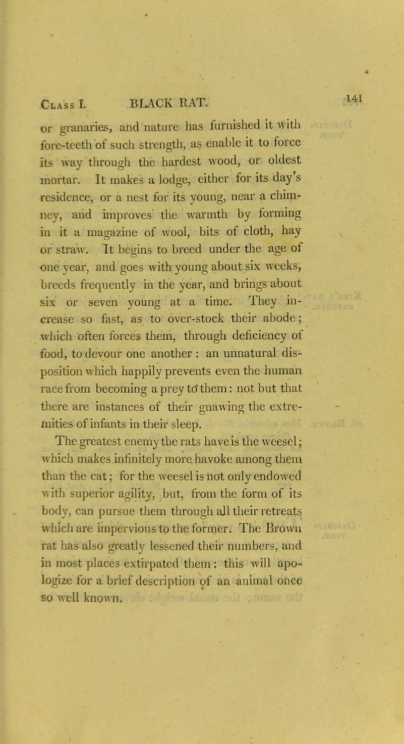 or granaries, and nature has furnished it with fore-teeth of such strength, as enable it to force its way through the hardest wood, or oldest mortar. It makes a lodge, either for its day's residence, or a nest for its young, near a chim- ney, and improves the warmth by forming in it a magazine of wool, bits of cloth, hay or straw. It begins to breed under the age of one year, and goes with young about six weeks, breeds frequently in the year, and brings about six or seven young at a time. They in- crease so fast, as to over-stock their abode; which often forces them, through deficiency of food, to devour one another : an unnatural dis- position which happily prevents even the human race from becoming a prey to* them: not but that there are instances of their gnawing the extre- mities of infants in their sleep. The greatest enemy the rats have is the weesel; which makes infinitely more, havoke among them than the cat; for the weesel is not only endowed with superior agility, but, from the form of its body, can pursue them through all their retreats which are impervious to the former. The Brown rat has also greatly lessened their numbers, and in most places extirpated them: this will apo- logize for a brief description of an animal once so well known.