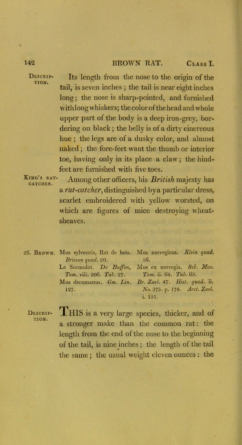 Descrip- Its length from the nose to the origin of the tail, is seven inches ; the tail is near eight inches long; the nose is sharp-pointed, and furnished with long whiskers; the color of the head and whole upper part of the body is a deep iron-grey, bor- dering on black; the belly is of a dirty cinereous hue ; the legs are of a dusky color, and almost naked; the fore-feet want the thumb or interior toe, having only in its place a claw; the hind- feet are furnished with five toes. Among other officers, his British majesty has a rat-catcher, distinguished by a particular dress, scarlet embroidered with yellow worsted, on which are figures of mice destroying wheat- sheaves. King's rat catcher. 26. Brown. Mus sylvestris, Rat de bois. Mus norvcgicus. Klein quad, Brisson quad. 20. 56. Le Surmulot. De Buffon, Mus ex norvegia. Seb. Mus. Tom. viii. 206. Tab. 27- Tom. ii. 64. Tab. 63. Mus decumanus. Gm. Lin. Br. Zool. 47. Hist. quad. ii. 127. No.375. p. 178. Arct.Zool. i. 151. Descrip- ThIS is a very large species, thicker, and of TION. 111 1 a stronger make than the common rat: the length from the end of the nose to the beginning of the tail, is nine inches ; the length of the tail the same; the usual weight eleven ounces : the