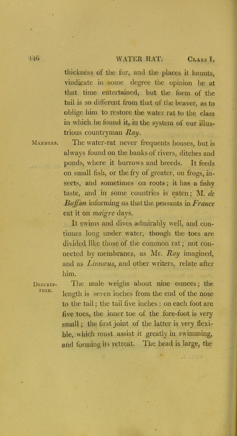 I 140 WATER RAT. Class I. thickness of the fur, and the places it haunts, vindicate in some degree the opinion he at that time entertained, but the form of the tail is so different from that of the beaver, as to oblige him to restore the water rat to the class in which he found it, in the system of our illus- trious countryman Ray. Manners. The water-rat never frequents houses, but is always found on the banks of rivers, ditches and ponds, where it burrows and breeds. It feeds on small fish, or the fry of greater, on frogs, in- sects, and sometimes on roots; it has a fishy taste, and in some countries is eaten; INI. de Buffon informing us that the peasants in Finance eat it on maigre days. It swims and dives admirably well, and con- tinues long under water, though the toes are divided like those of the common rat; not con- nected by membranes, as Mr. Ray imagined, and as Linnceus^ and other writers, relate after him. Descrip- The male weighs about nine ounces; the length is seven inches from the end of the nose o to the tail; the tail five inches : on each foot are five toes, the inner toe of the fore-foot is very small; the first joint of the latter is very flexi- ble,.which must assist it greatly in swimming, and forming its retreat. The head is large, the