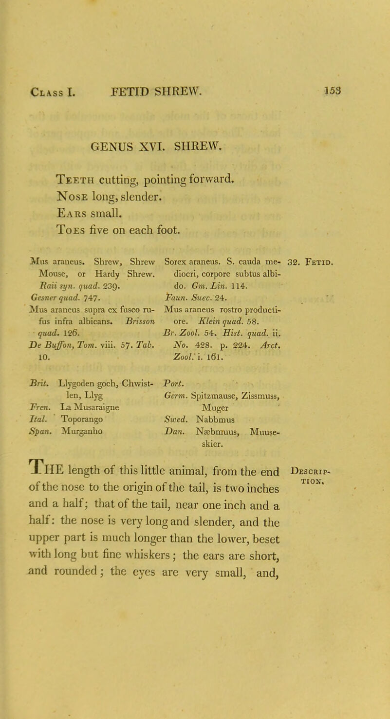 GENUS XVI. SHREW. Teeth cutting, pointing forward. Nose long, slender. Ears small. Toes five on each foot. Mus araneus. Shrew, Shrew Sorex araneus. S. cauda me- 32. Fetid. Mouse, or Hardy Shrew. diocri, corpore sxibtus albi- Raii syn. quad. 23Q. do. Gm. Lin. 114. Gesner quad. 747. Faun. Suec. 24. Mus araneus supra ex fiasco ru- Mus araneus rostro producti- fus infra albicans. Brisson ore. Klein quad. 58. quad. 126. Br. Zool. 54. Hist. quad. ii. Be Buffon, Tom. via. 57. Tab. No. 428. p. 224. Arct. 10. Zool. i. l6l. Brit. Llygoden goch, Chwist- Port. len, Llyg Germ. Spitzmause, Zissmuss, Fren. La Musaraigne Muger Ital. Toporango Swed. Nabbmus Span. Murganho Dan. Nsebrrruus, Muuse- skier. The length of this little animal, from the end Descrip- of the nose to the origin of the tail, is two inches and a half; that of the tail, near one inch and a half: the nose is very long and slender, and the upper part is much longer than the lower, beset with long but fine whiskers; the ears are short, and rounded; the eyes are very small, and,