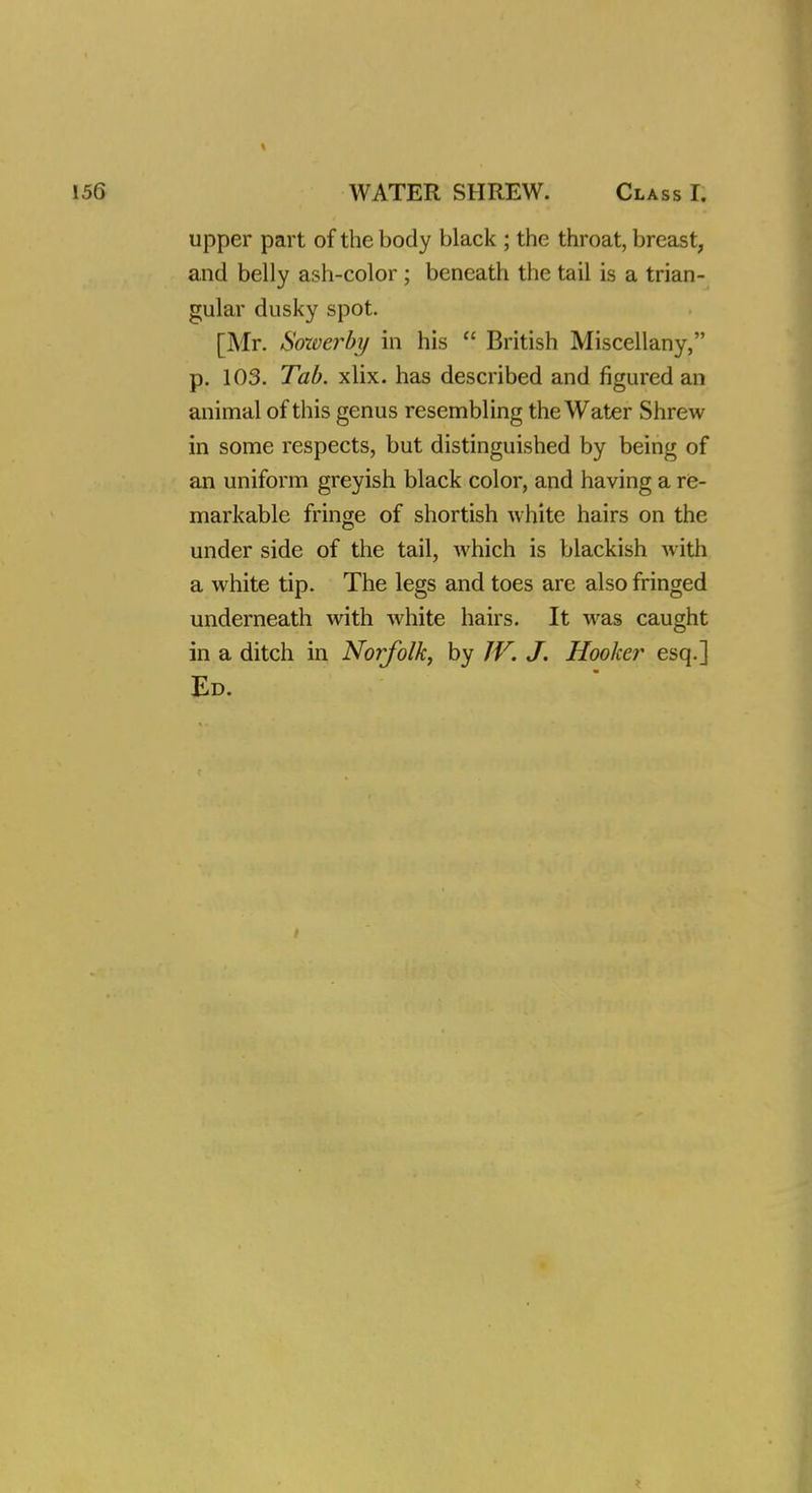 upper part of the body black ; the throat, breast, and belly ash-color ; beneath the tail is a trian- gular dusky spot. [Mr. Sowerby in his  British Miscellany, p. 103. Tab. xlix. has described and figured an animal of this genus resembling the Water Shrew in some respects, but distinguished by being of an uniform greyish black color, and having a re- markable fringe of shortish white hairs on the under side of the tail, which is blackish with a white tip. The legs and toes are also fringed underneath with white hairs. It was caught in a ditch in Norfolk, by W. J. Hooker esq.] Ed.