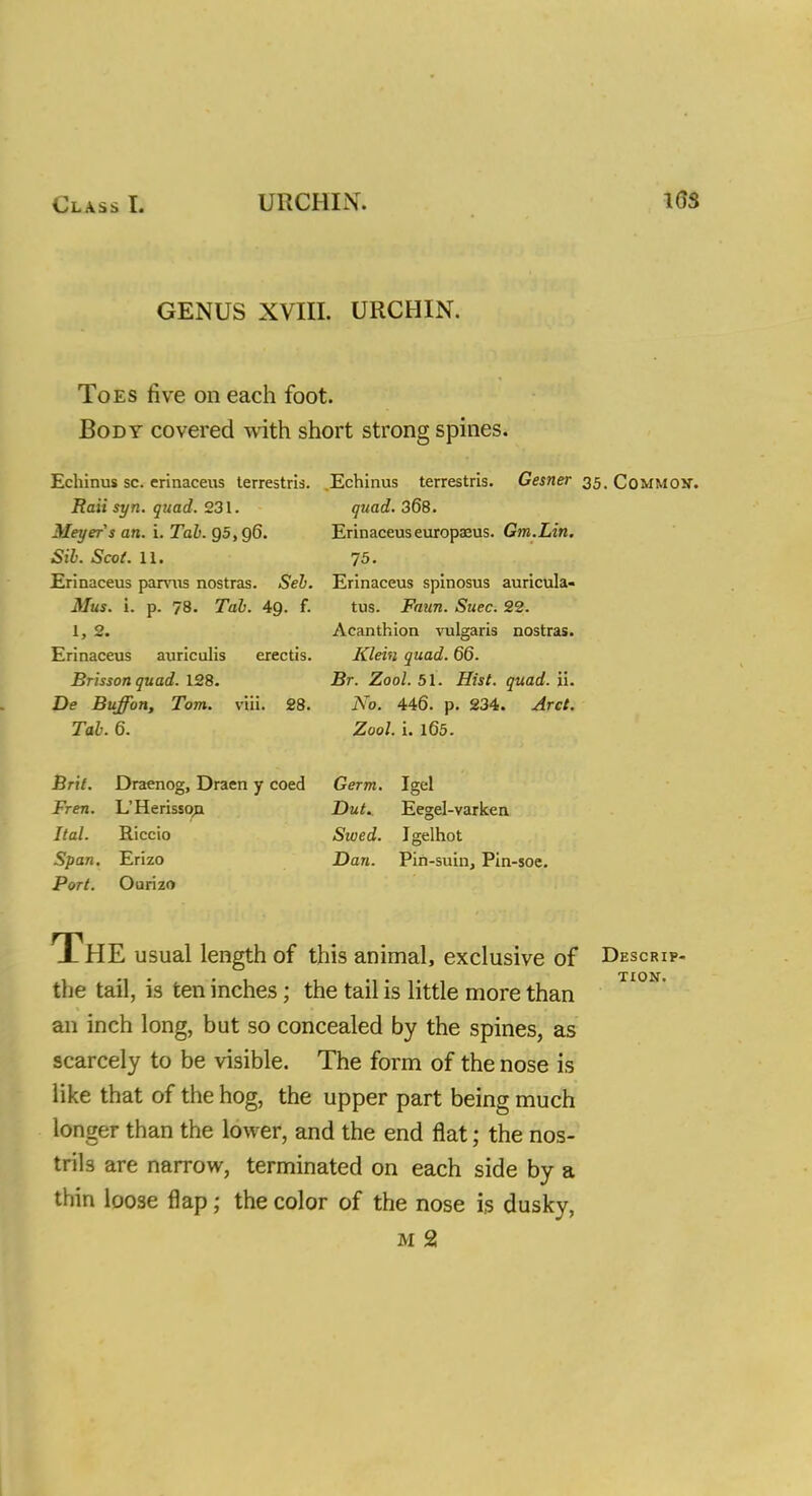 Class I. URCHIN. 10S GENUS XVIII. URCHIN. Toes five on each foot. Body covered with short strong spines. Echinus sc. erinaceus terrestris. .Echinus terrestris. Gesner 35. Commov. Rait syn. quad. 231. Meyer's an. i. Tab. 95,96. Sib. Scot. 11. Erinaceus parvus nostras. Seb. Mus. i. p. 78. Tab. AQ. f. 1, 2. Erinaceus auriculis erectis. Brisson quad. 128. De Buffon, Tom. viii. 28. Tab. 6. quad. 368. Erinaceuseuropaeus. Gm.Lin. 75. Erinaceus spinosus auricula- tus. Faun. Suec. 22. Acanthion vulgaris nostras. Klein quad. 66. Br. Zool. 51. Hist. quad. ii. No. 446. p. 234. Arct. Zool. i. 165. Bri/. Draenog, Draen y coed Germ. Fren. L'Herisso,B Dut. Ital. Riccio Swed. Span. Erizo Dan. Port. Ourizo Igel Eegel-varken Igelhot Pin-suin, Pin-soe. TION. The usual length of this animal, exclusive of Descrip- the tail, is ten inches; the tail is little more than an inch long, but so concealed by the spines, as scarcely to be visible. The form of the nose is like that of the hog, the upper part being much longer than the lower, and the end flat; the nos- trils are narrow, terminated on each side by a thin loose flap; the color of the nose is dusky,