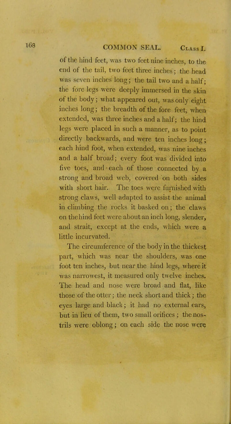 COMMON SEAL. Class L of the hind feet, was two feet nine inches, to the end of the tail, two feet three inches; the head was seven inches long; the tail two and a half; the fore legs were deeply immersed in the skin of the body; what appeared out, was only eight inches long; the breadth of the fore feet, when extended, was three inches and a half; the hind legs were placed in such a manner, as to point directly backwards, and were ten inches long; each hind foot, when extended, was nine inches and a half broad; every foot was divided into five toes, and ■ each of those connected by a strong and broad web, covered on both sides with short hair. The toes were furnished with strong claws, well adapted to assist the animal in climbing the rocks it basked on; the claws on the hind feet were about an inch long, slender, and strait, except at the ends, which were a little incurvated. The circumference of the body in the thickest part, which was near the shoulders, was one foot ten inches, but near the hind legs, where it was narrowest, it measured only twelve inches. The head and nose were broad and flat, like those of the otter; the neck short and thick; the eyes large and black; it had no external ears, but in lieu of them, two small orifices ; the nos- trils were oblong; on each side the nose werq