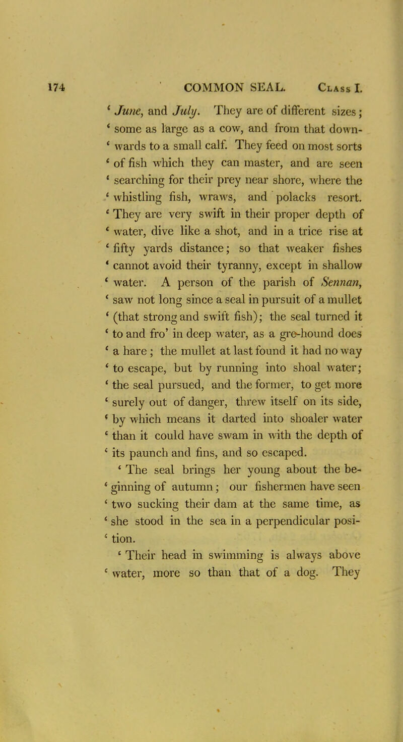 1 June, and July. They are of different sizes; * some as large as a cow, and from that down- * wards to a small calf. They feed on most sorts f of fish which they can master, and are seen ' searching for their prey near shore, where the 1 whistling fish, wraws, and polacks resort. 1 They are very swift in their proper depth of ' water, dive like a shot, and in a trice rise at ' fifty yards distance; so that weaker fishes * cannot avoid their tyranny, except in shallow ' water. A person of the parish of Semian, ' saw not long since a seal in pursuit of a mullet ' (that strong and swift fish); the seal turned it ' to and fro' in deep water, as a greyhound does £ a hare ; the mullet at last found it had no way 4 to escape, but by running into shoal water; ' the seal pursued, and the former, to get more ' surely out of danger, threw itself on its side, * by which means it darted into shoaler water ' than it could have swam in with the depth of i its paunch and fins, and so escaped. 1 The seal brings her young about the be- * ginning of autumn; our fishermen have seen ' two sucking their dam at the same time, as ' she stood in the sea in a perpendicular posi- c tion. 1 Their head in swimming is always above c water, more so than that of a dog. They