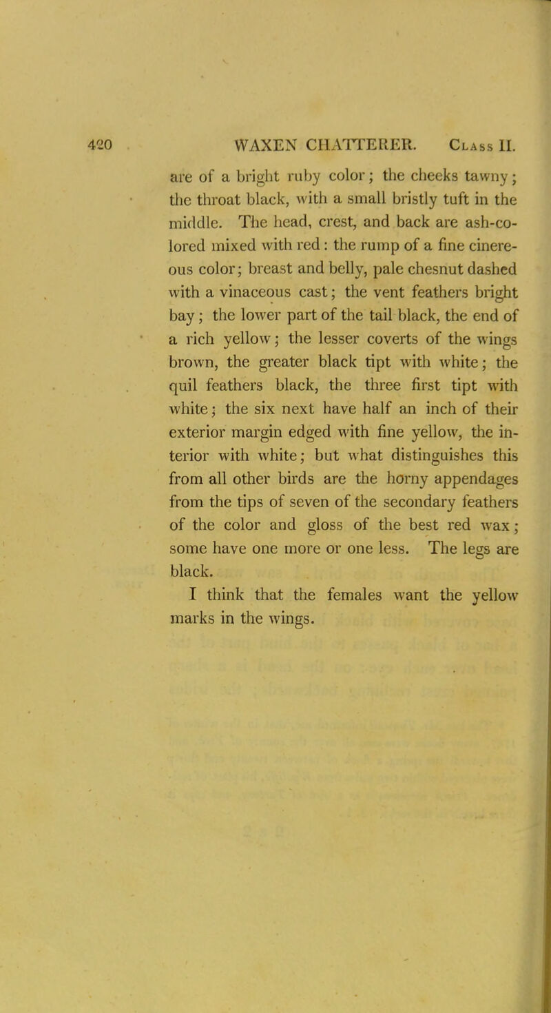 are of a bright ruby color; the cheeks tawny; the throat black, with a small bristly tuft in the middle. The head, crest, and back are ash-co- lored mixed with red: the rump of a fine cinere- ous color; breast and belly, pale chesnut dashed with a vinaceous cast; the vent feathers bright bay; the lower part of the tail black, the end of a rich yellowj the lesser coverts of the wings brown, the greater black tipt with white; the quil feathers black, the three first tipt with white; the six next have half an inch of their exterior margin edged with fine yellow, the in- terior with white; but what distinguishes this from all other birds are the horny appendages from the tips of seven of the secondary feathers of the color and gloss of the best red wax ; some have one more or one less. The legs are black. I think that the females want the yellow marks in the wings.