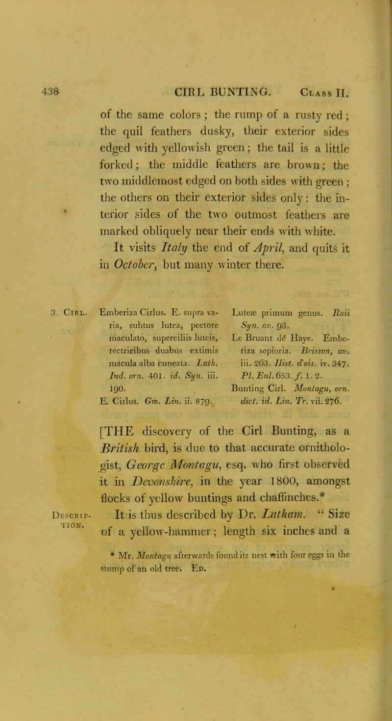 498 CIRL BUNTING. Class II. of the same colors ; the rump of a rusty red; the quil feathers dusky, their exterior sides edged with yellowish green; the tail is a little forked; the middle feathers are brown; the two middlemost edged on both sides with green ; the others on their exterior sides only: the in- terior sides of the two outmost feathers are marked obliquely near their ends with white. It visits Italy the end of April, and quits it in October, but many winter there. 3. Cirl. Emberiza Cirlus. E. supra va- ria, subtus lutea, pectorc maculato, superciliis luteis, rectricibus duabus extimis macula alba cunenta. Lath, hid. orn. 401. id. Syn. in. 190. E. Cirlus. Gm. Lin. ii. 879. Lutcae primum genus. Raii Syn. av. Q3. Lc Bruant de Haye. Embe- riza sepioria. Brisson, av-. iii. 263. Hist. dois. iv. 347. Pl.Enl.653.f. 1.2. Bunting Cirl. Montagu, orn. diet. id. Lin. Tr. vii. 276. [THE discovery of the Cirl Bunting, as a British bird, is due to that accurate ornitholo- gist, George Montagu, esq. who first observed it in Devonshire, in the year 1800, amongst flocks of yellow buntings and chaffinches.* It is thus described by Dr. Latham.  Size of a yellow-hammer; length six inches and a * Mr. Montagu afterwards found its nest with four eggs in the stump of an old tree. En. /
