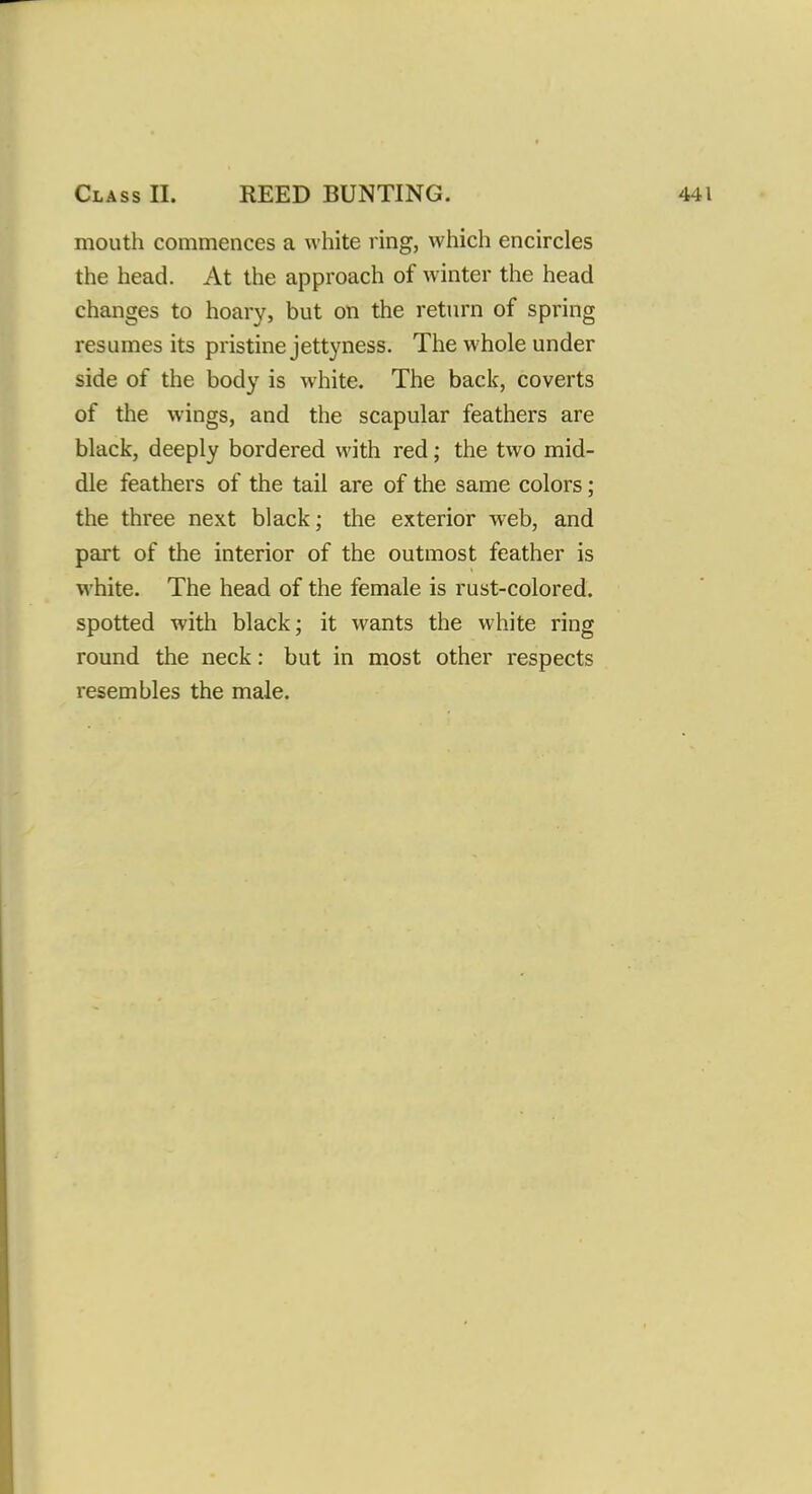 mouth commences a white ring, which encircles the head. At the approach of winter the head changes to hoary, but on the return of spring resumes its pristine jettyness. The whole under side of the body is white. The back, coverts of the wings, and the scapular feathers are black, deeply bordered with red; the two mid- dle feathers of the tail are of the same colors; the three next black; the exterior web, and part of the interior of the outmost feather is white. The head of the female is rust-colored, spotted with black; it wants the white ring round the neck: but in most other respects resembles the male.