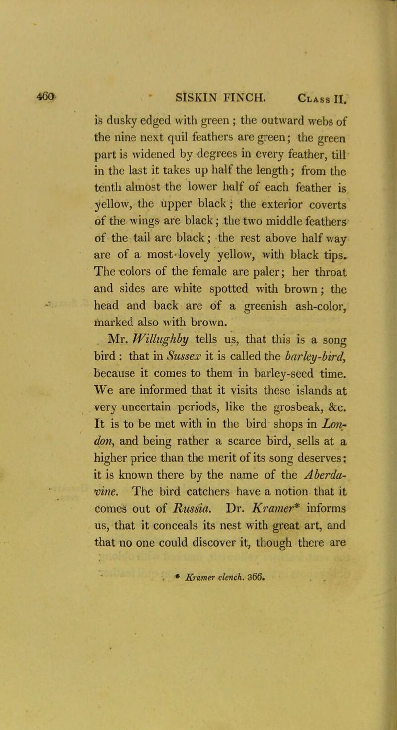 SISKIN FINCH. Class II. is dusky edged with green ; the outward webs of the nine next quil feathers are green; the green part is widened by degrees in every feather, till in the last it takes up half the length; from the tenth almost the lower half of each feather is yellow, the upper black; the exterior coverts of the wings are black; the two middle feathers of the tail are black; the rest above half way are of a most-lovely yellow, with black tips. The -colors of the female are paler; her throat and sides are white spotted with brown; the head and back are of a greenish ash-color, marked also with brown. Mr. Willughby tells us, that this is a song bird : that in Sussex it is called the barley-bird, because it comes to them in barley-seed time. We are informed that it visits these islands at very uncertain periods, like the grosbeak, &c. It is to be met with in the bird shops in Lonr don, and being rather a scarce bird, sells at a higher price than the merit of its song deserves: it is known there by the name of the A berda- wine. The bird catchers have a notion that it comes out of Russia. Dr. Kramer* informs us, that it conceals its nest with great art, and that no one could discover it, though there are * Kramer elench. 366.